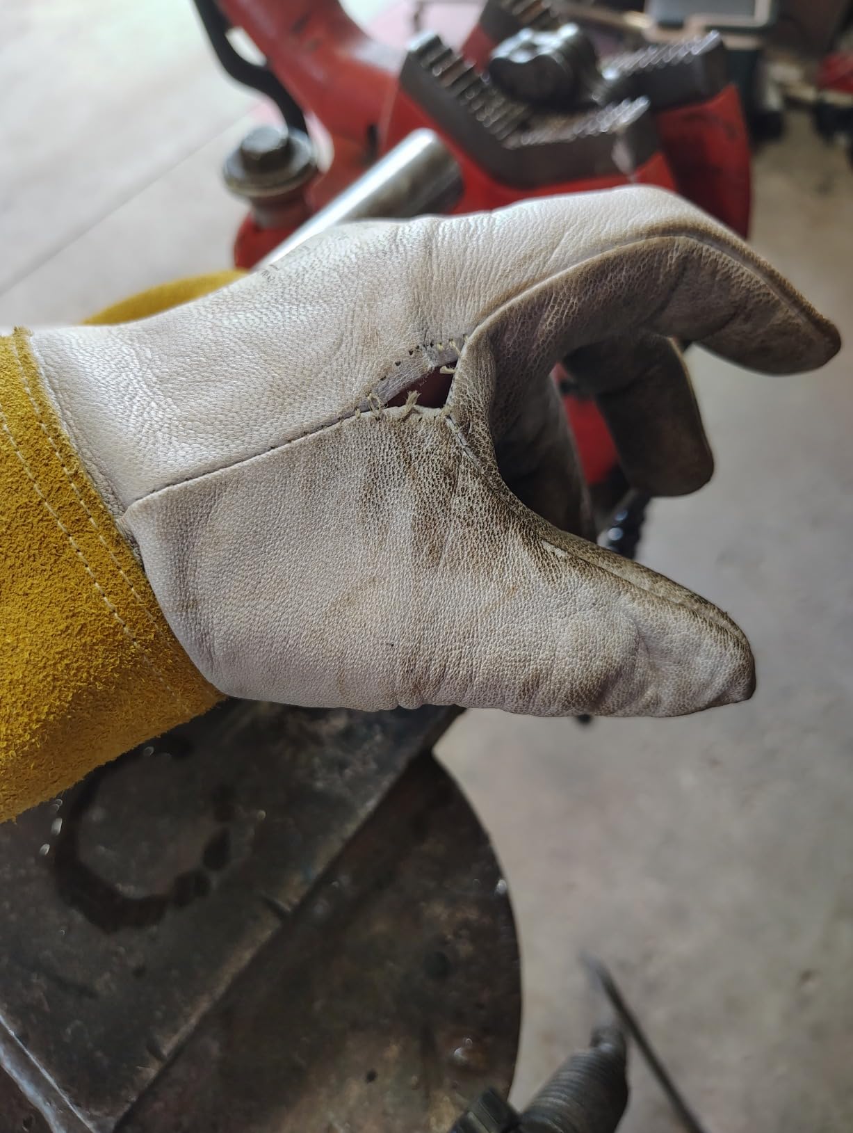 Caiman Premium Goat Grain TIG Welding Gloves, 4-Inch Gold Extended Cuff, Unlined, White/Gold, Medium (1600-4) customer photo 1