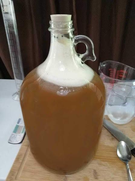 FastRack - Shepherd Made Mead Making Kit - 1 Gallon Jug Fermentation Set with Clear Glass Fermentation Jar, 3pc Airlocks, Rubber Stopper, Yeast Nutrient & Mead Yeast for Home Brewing customer photo 2