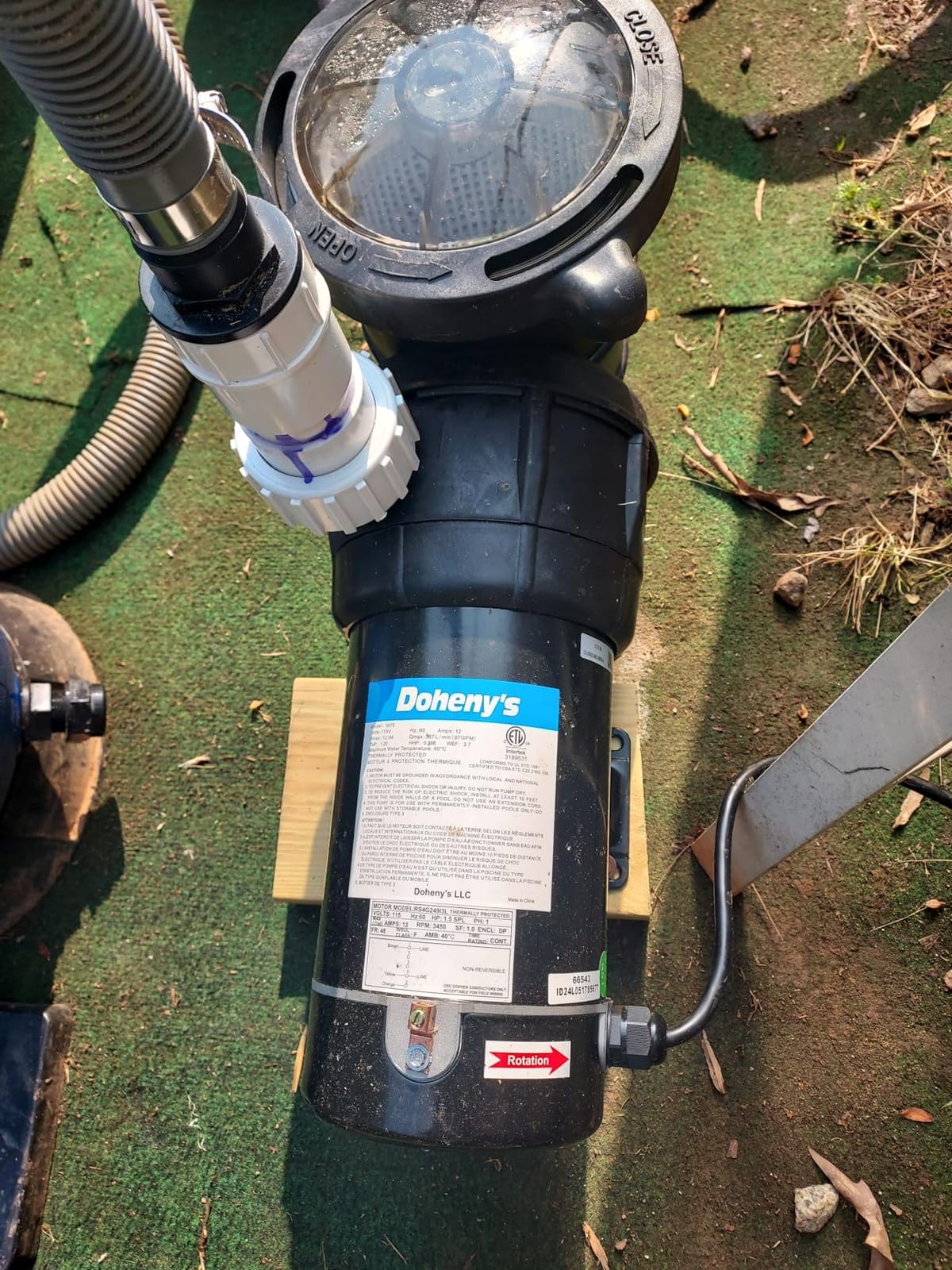Doheny's 1.5 HP Above Ground Swimming Pool Pump customer photo 2