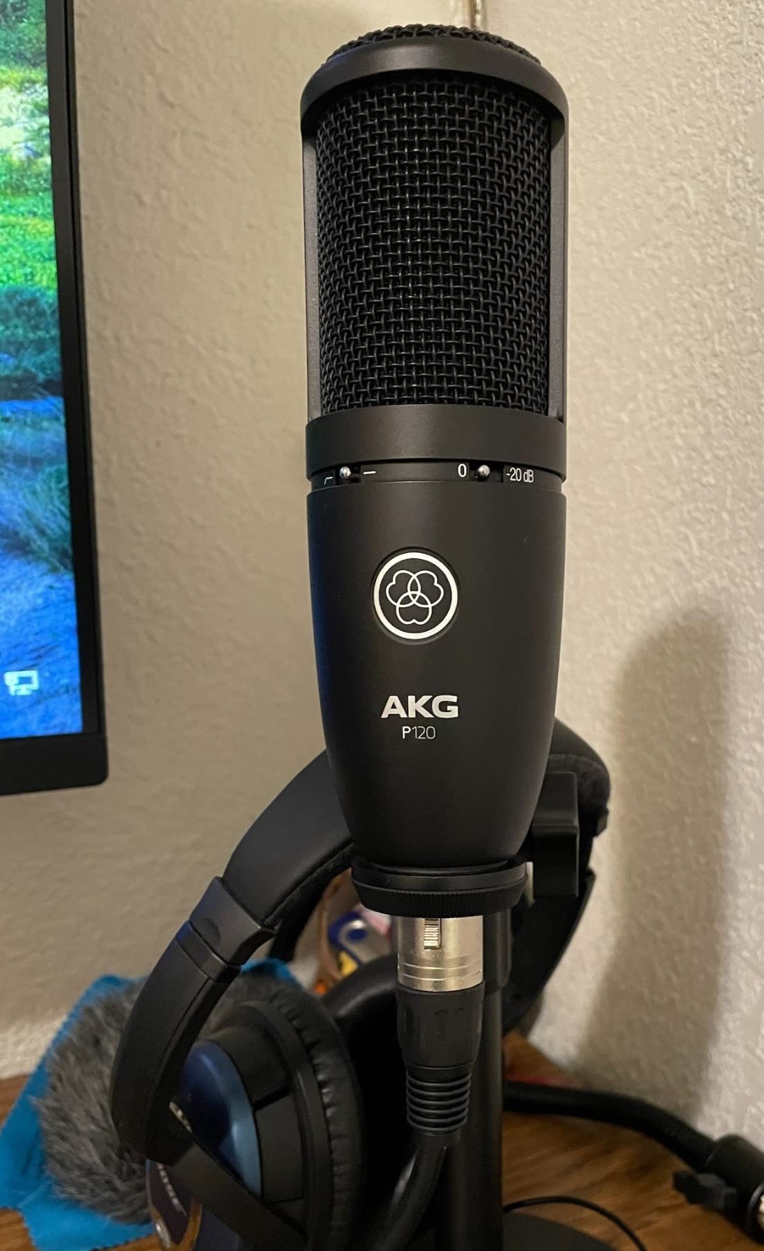 AKG Pro Audio P120 - Affordable 2/3-Inch Diaphragm Condenser Microphone for Clear Vocals & Instruments. Studio Recording or Live. XLR Connector. Black customer photo 2