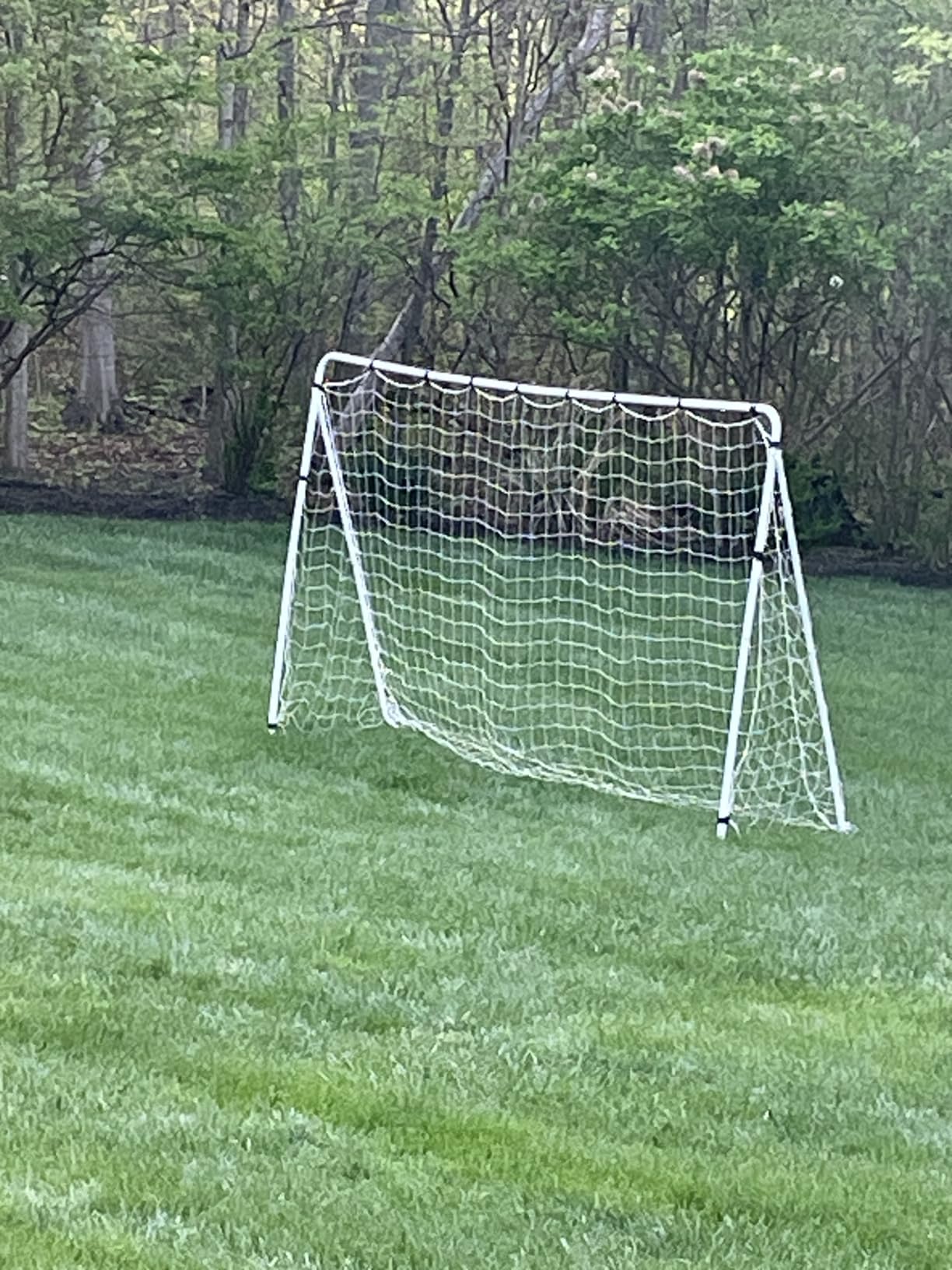 ZENY Soccer Goal 6x4/ 12x6/ 18x7/ 24x8 ft Steel Frame Soccer Training Goal customer photo 1