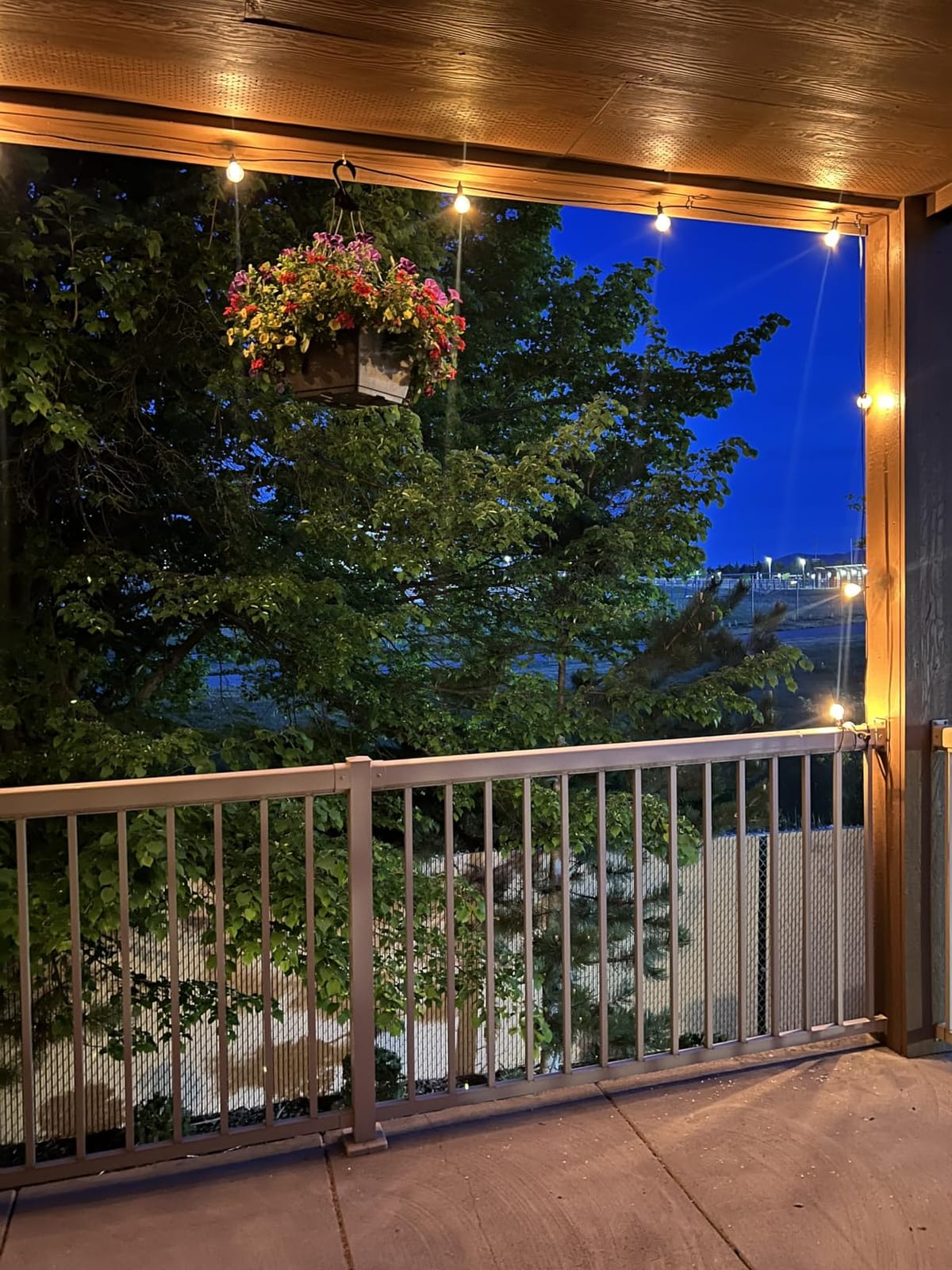 Brightown Outdoor String Lights, 29FT G40 LED IP65 Waterproof Patio Lights | 12 Shatterproof Edison Bulbs, Plug-In, Dimmable, Connectable, Hanging Light for Backyard Porch Party Decor, Warm White customer photo 2