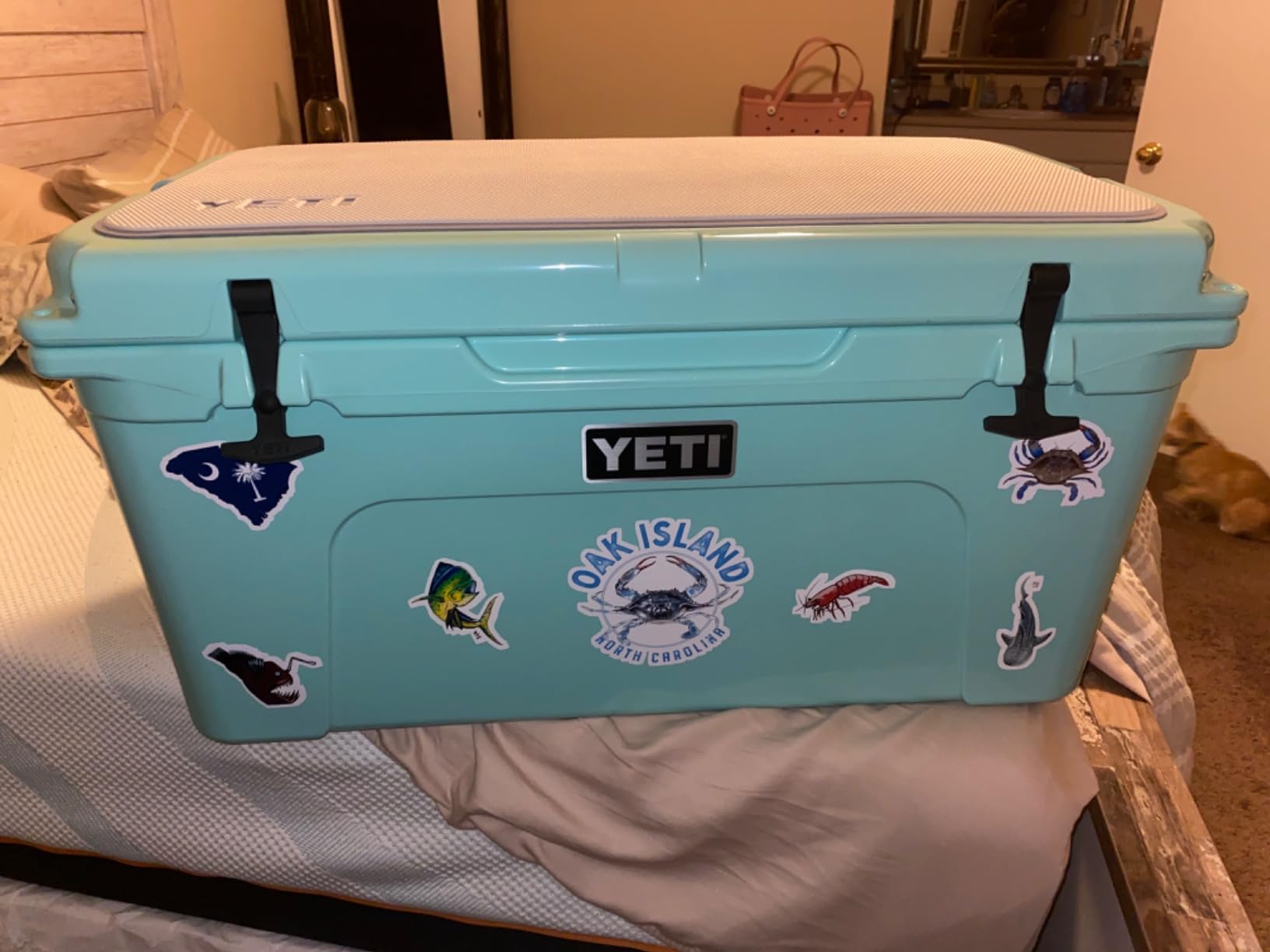 YETI Tundra 65 Cooler customer photo 2