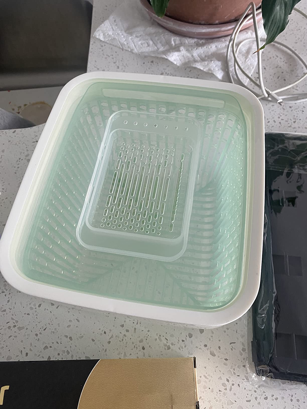 OXO Good Grips GreenSaver Produce Keeper - Large, White customer photo 2