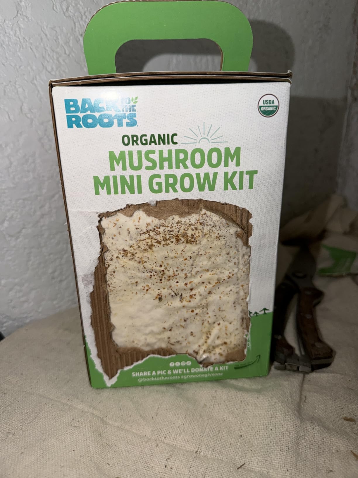 Back to the Roots Organic Mini Mushroom Grow Kit, Harvest Gourmet Oyster Mushrooms In 10 days, Top Gardening Gift, Holiday Gift, & Unique Gift customer photo 2