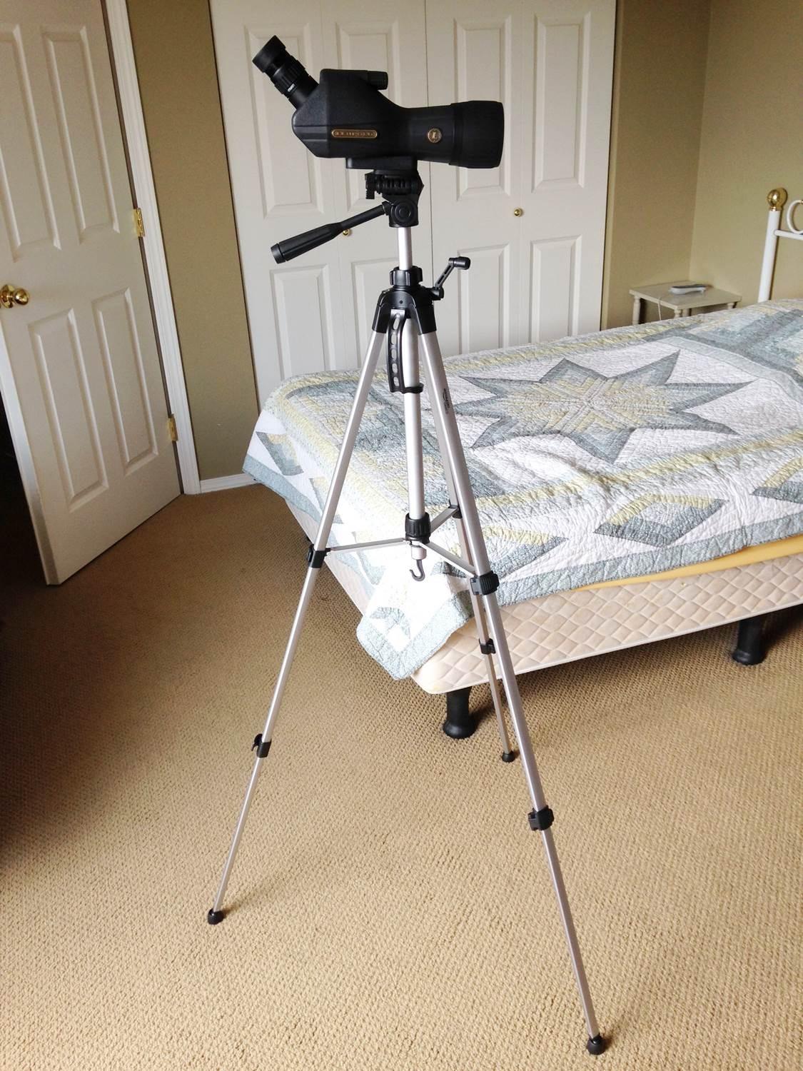 Amazon Basics 50-inch Lightweight Portable Camera Tripod Stand with Quick-Release Plate, Adjustable Height, Aluminum, for Travel Photography, Champagne customer photo 1