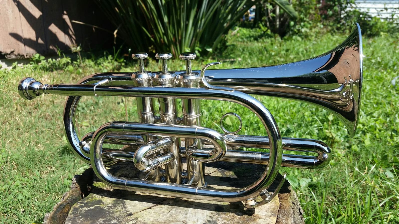 Tristar Cornet + Case + MP + Mute customer photo 2