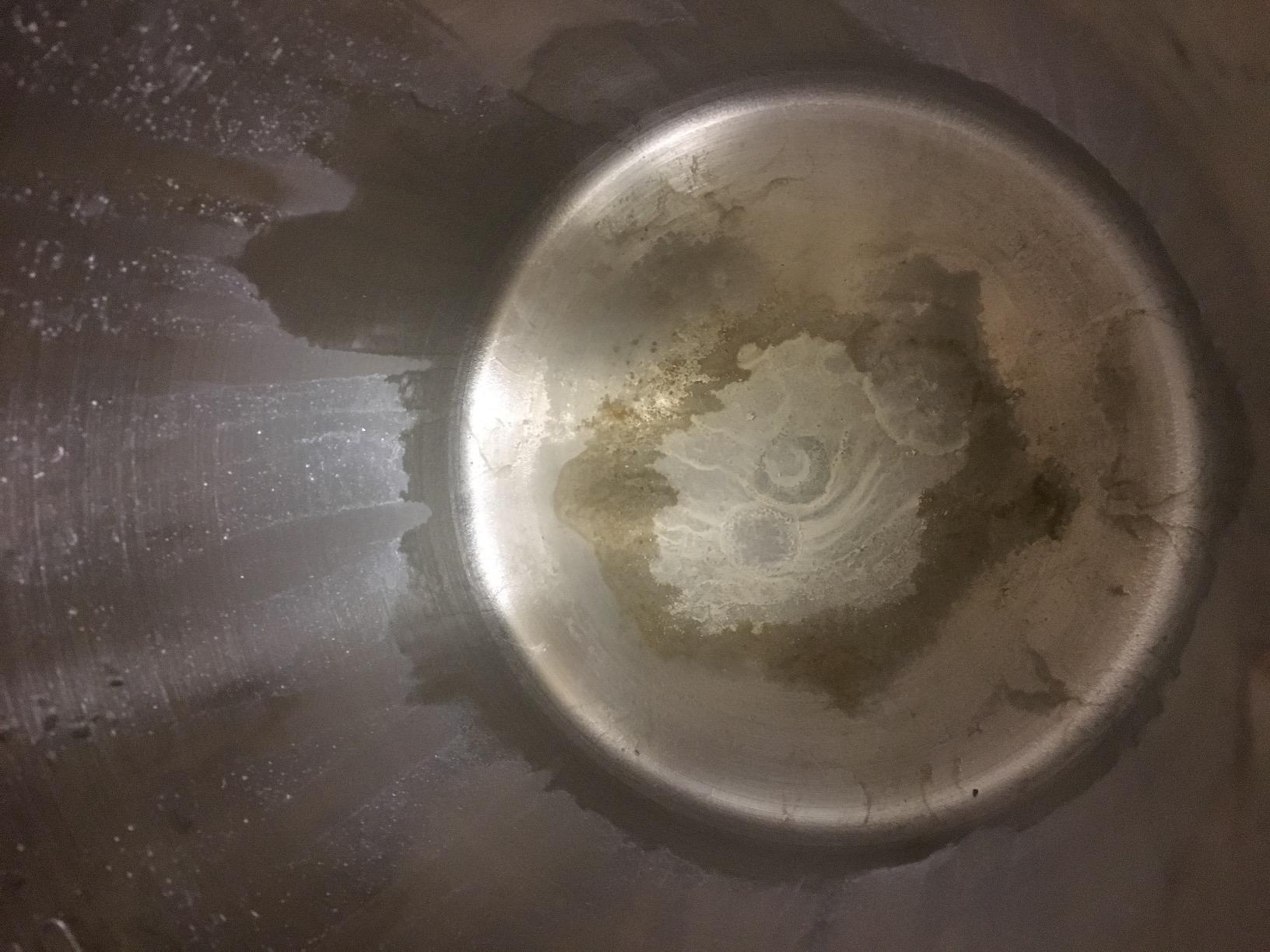 H2oLabs Best-in-Class Stainless Steel Home Water Distiller & Glass Carafe | With Exclusive Activated Carbon Mega Pods providing the Purest Water and Most Effective VOC Removal of any similar distiller. customer photo 1