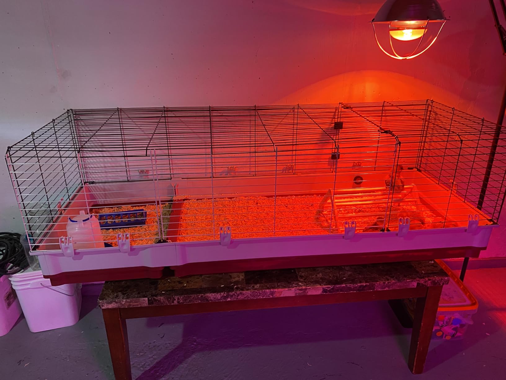 Ferplast Krolik XXL Rabbit Cage w/Wire Extension | Rabbit Cage Includes All Accessories & Measures 63.8L x 23.62W x 19.68H Inches | 1-Year Warranty customer photo 1