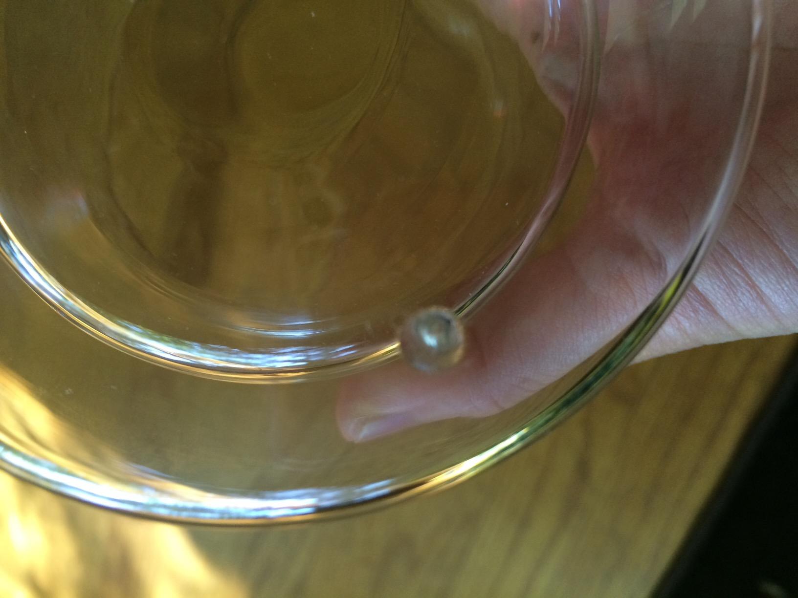 Tea Forte Poom Double Wall Glass Tea Cup, 10 oz customer photo 2