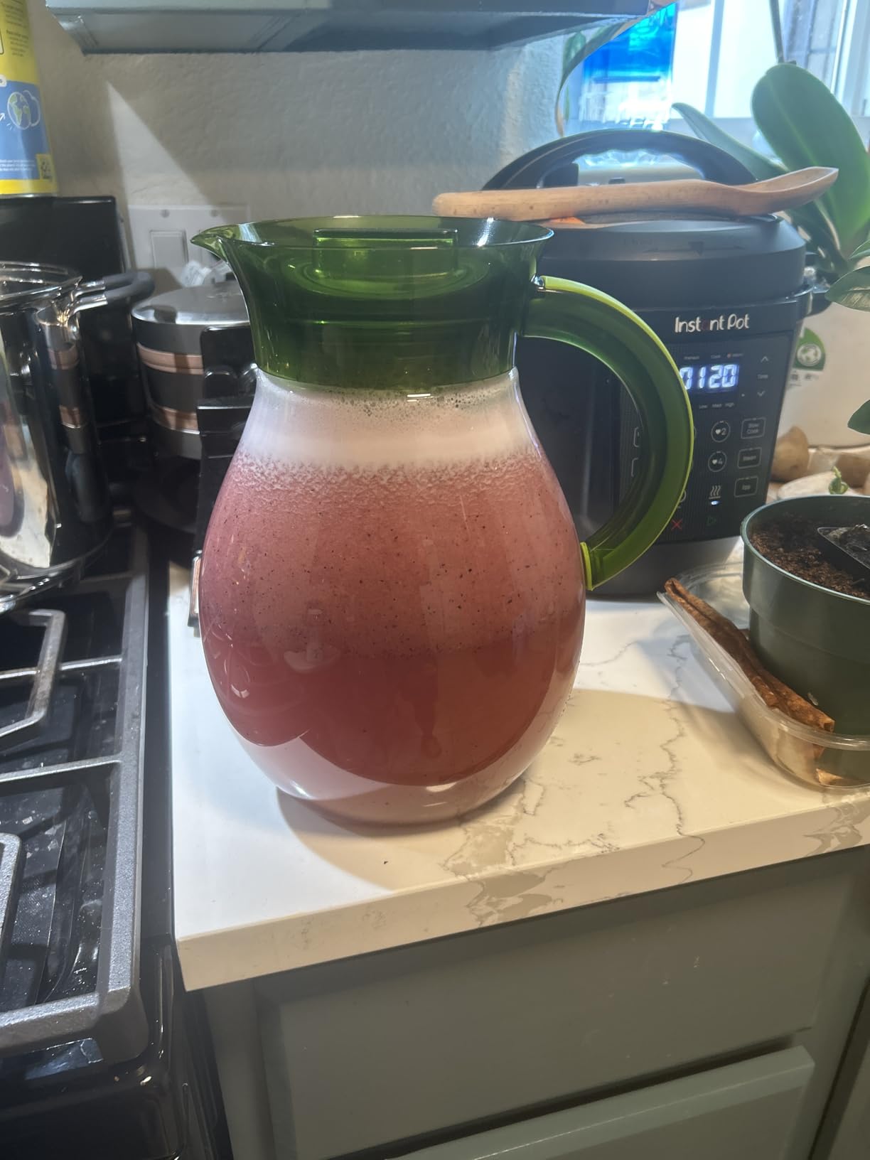 Primula The Big Iced Tea Maker and Infuser, Plastic Beverage Pitcher with Leak Proof, Airtight Lid, Fine Mesh Reusable Filter, Made without BPA, Dishwasher Safe, Green customer photo 2