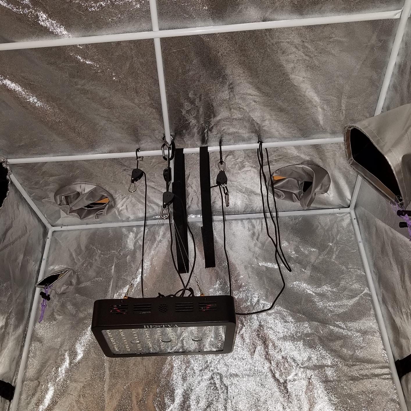 BESTVA DC1000 Grow Light for Indoor Plants, Full Spectrum LED Plant Light customer photo 2