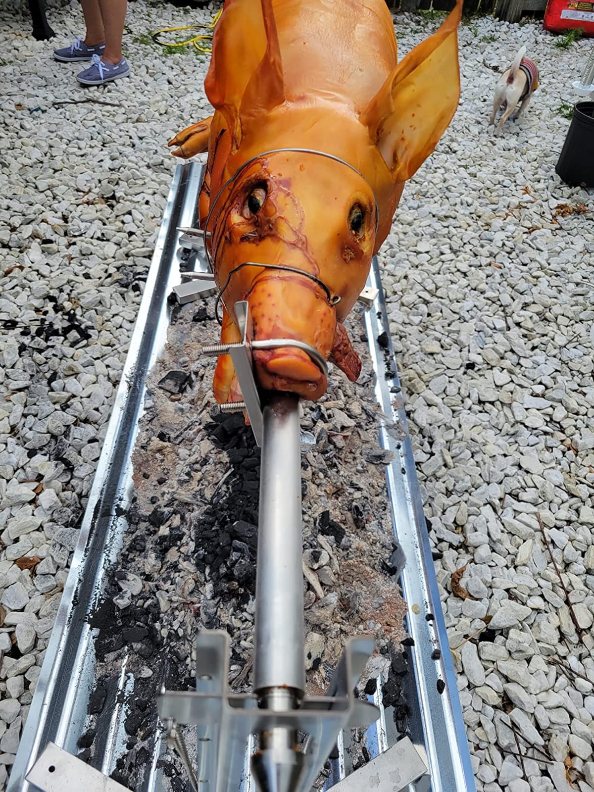 Ash & Ember 13W Tripod Rotisserie Roaster Stand, Rated 85 LB, Adjustable Height Open Fire Roaster, Round Stainless Steel Spit Rod, Electric BBQ Grill Stand for Pork, Chicken, Lamb, or Goat customer photo 1