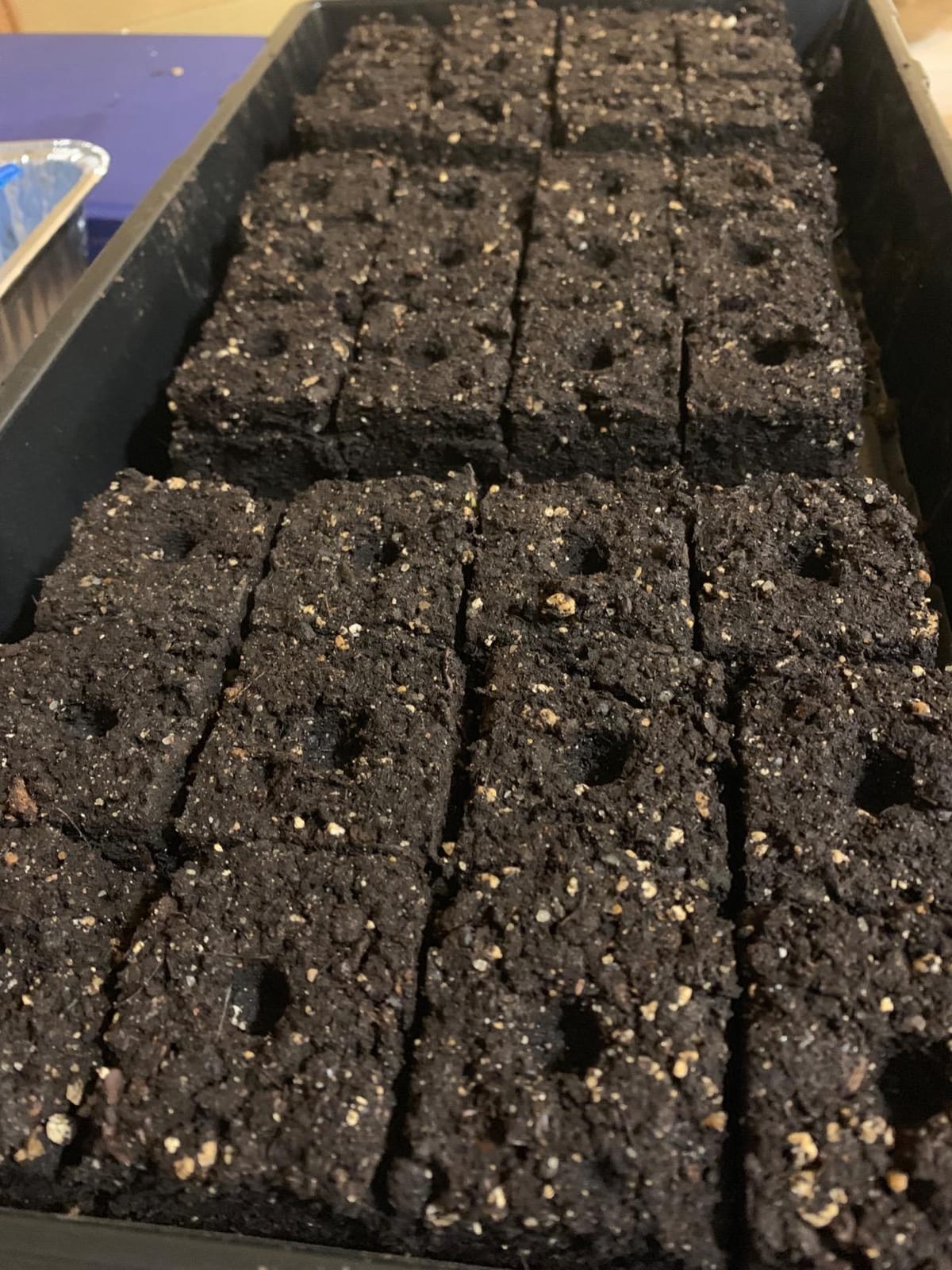 Authentic Ladbrooke 5-Pc Essentials Soil Blocker Set, England customer photo 2