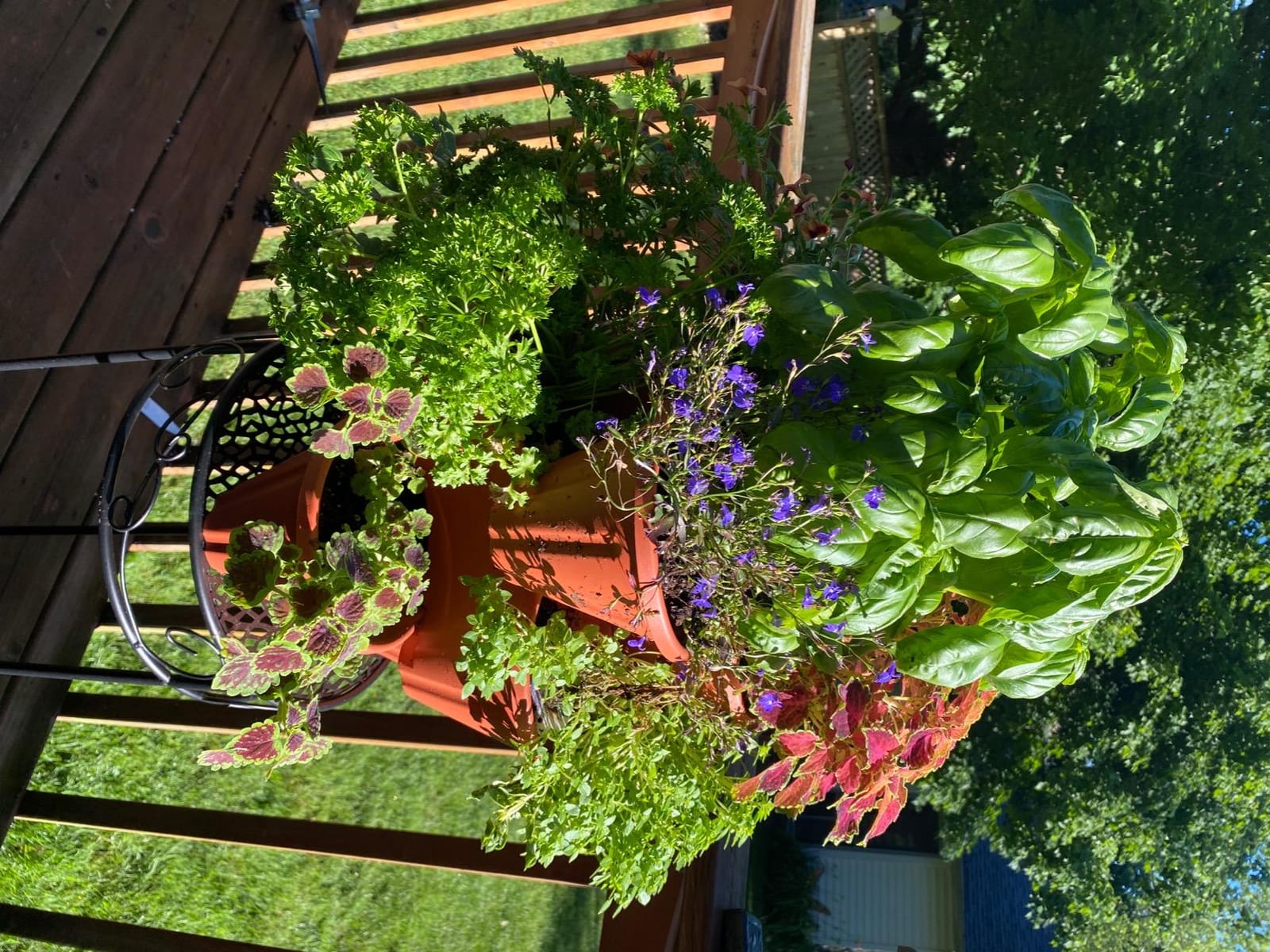 Stacking Planter Tower- 3-Tier Space Saving Flower Pots- Set of 3 Indoor/Outdoor Vertical Herb & Vegetable Garden by Pure Garden (Terracotta Colored) customer photo 1