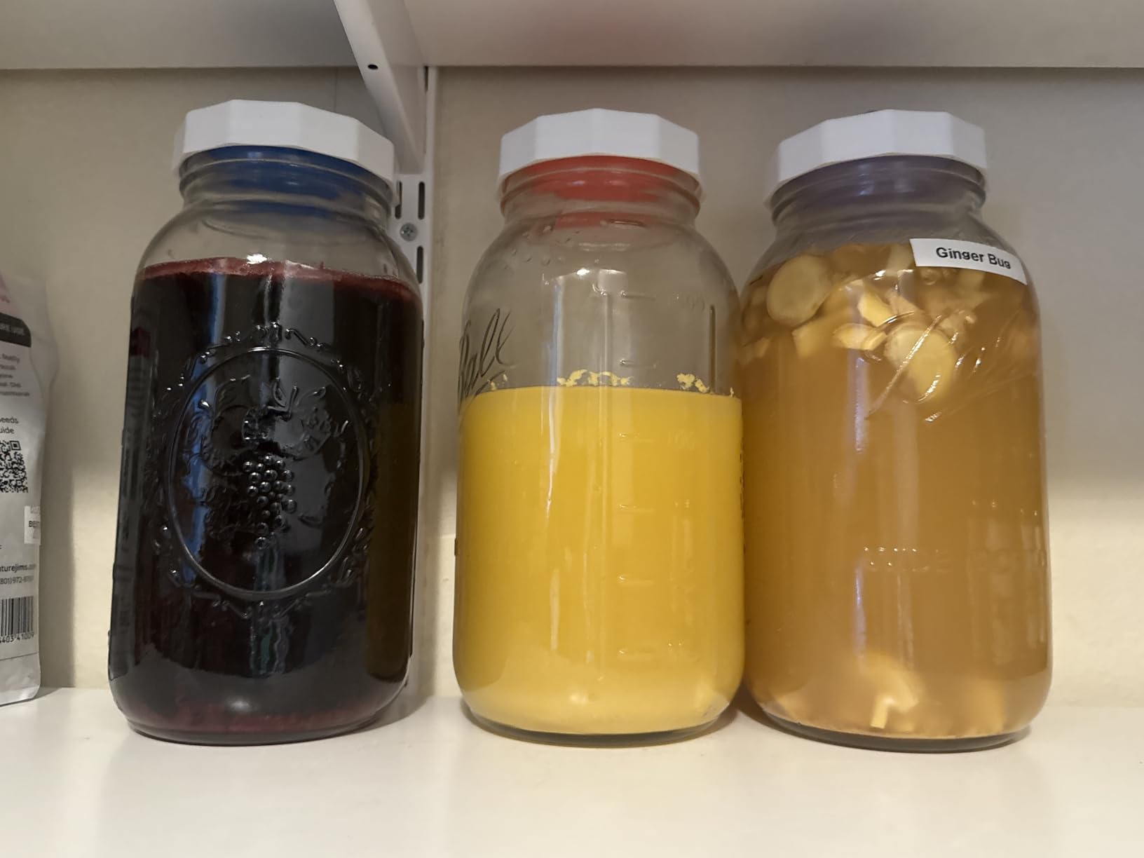 Masontops Pickle Pipes - Airlock Fermentation Lids - Fermentation Kit for Small Mouth Mason Jar Sauerkraut & Pickle Kit customer photo 1