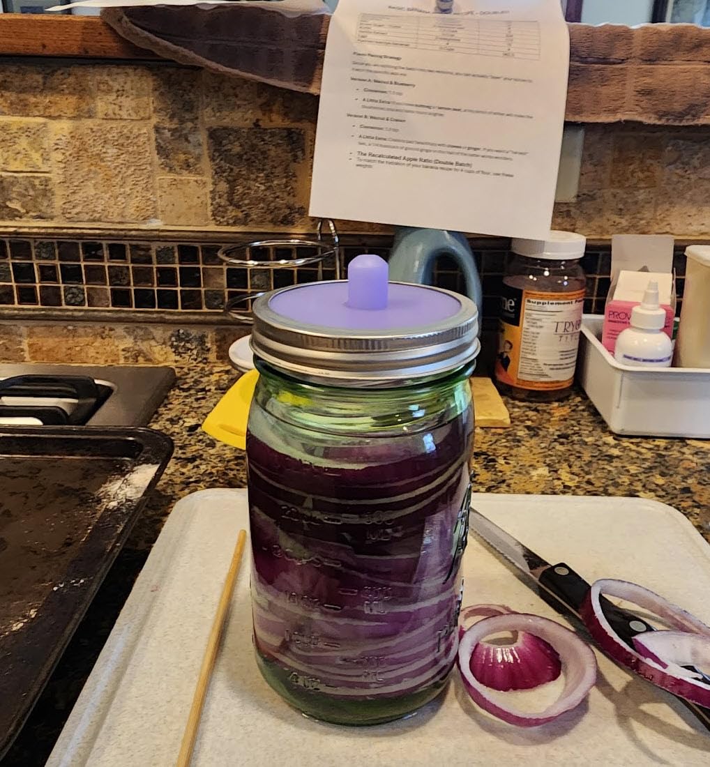 Masontops Pickle Pipes - Waterless Airlock Fermentation Lids - Regular Mouth Mason Jar Fermenter Caps - Premium Silicone customer photo 1