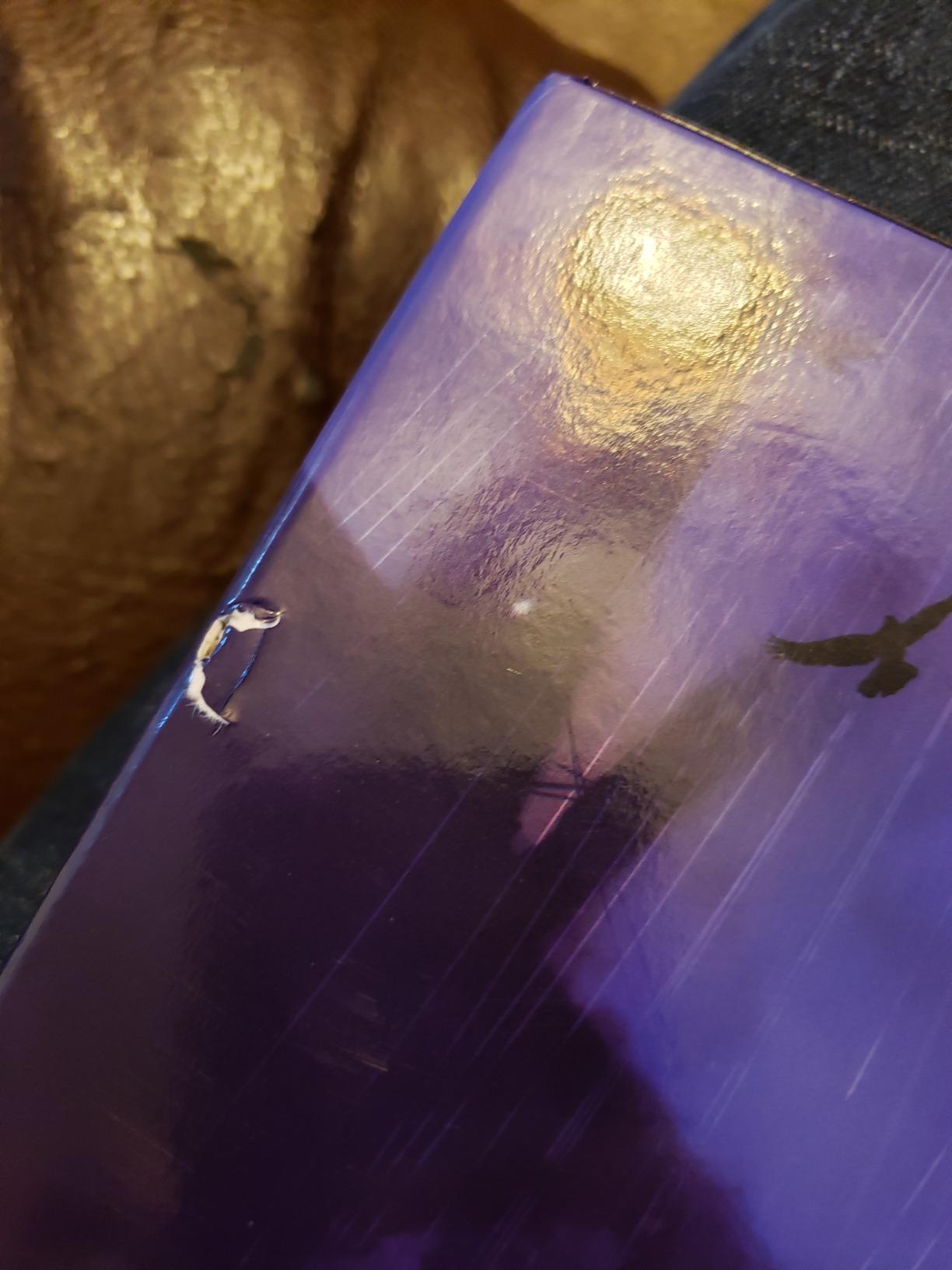 Gale Force Nine Dungeons & Dragons - Curse of Strahd DM Screen, Multicolor, 22