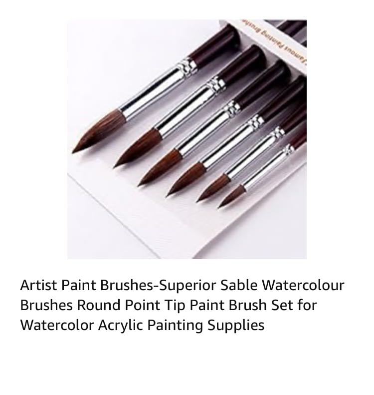 Golden Maple Professional Watercolor Brushes Set - 6PC Natural Hair Horsehair Round Point Artist Paint Brushes for Adults Watercolor Acrylic Ink Gouache Painting Supplies customer photo 2