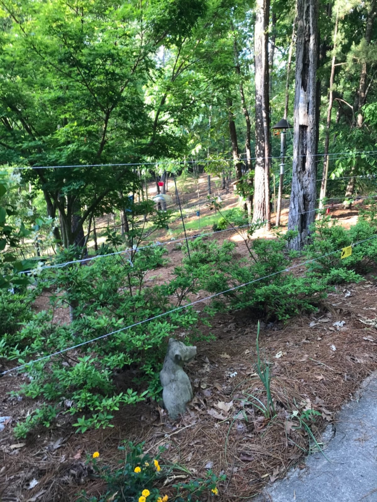 Gallagher M160 Electric Fence Charger | Powers Up to 30 Miles / 100 Acres of Clean Fence | 1.6 Joules, 110 Volt Energizer customer photo 1