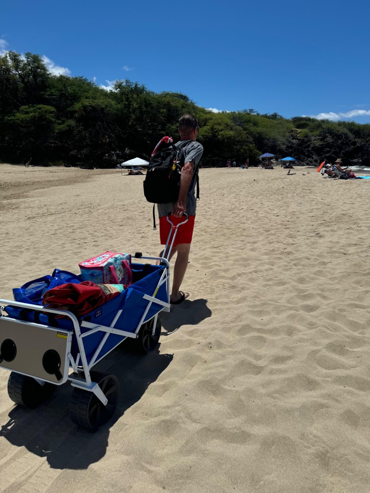 Mac Sports Heavy Duty Collapsible Folding All Terrain Utility Beach Wagon Cart, Blue/Black customer photo 2