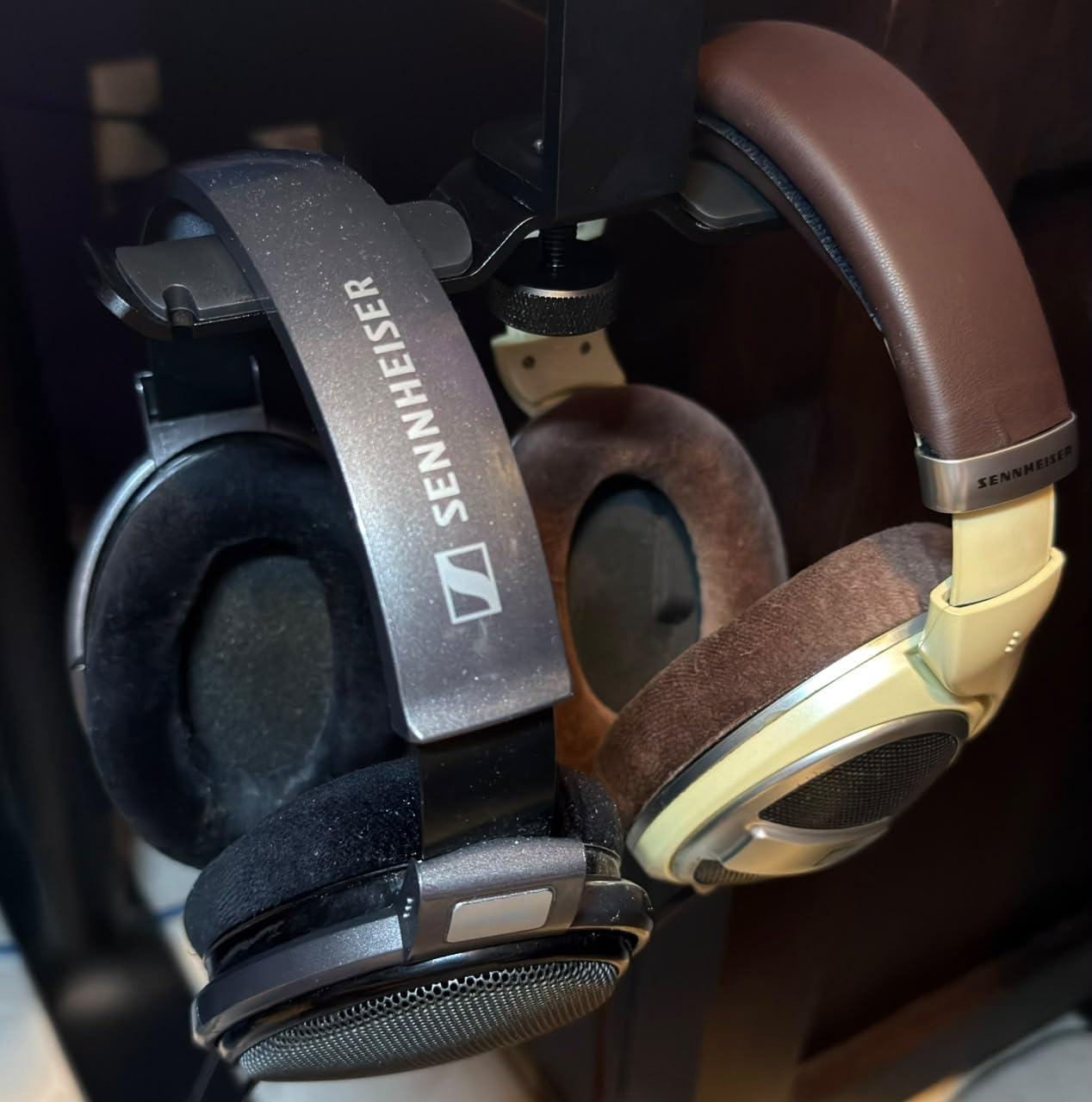 Sennheiser HD 599 Open-Back Wired Audiophile Headphones, Ivory customer photo 1