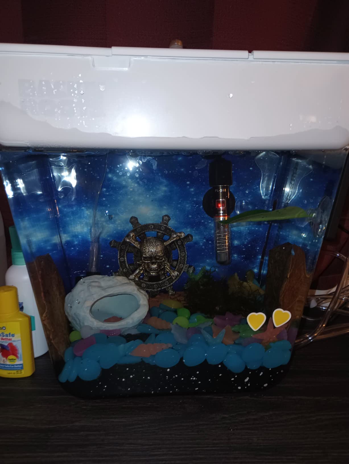 Back to the Roots Indoor Aquaponic Garden - 3 Gallon Self Watering, Mess-Free Planter and Self-Cleaning Fishtank for Herbs, Microgreens, Bamboo, Succulents, and Houseplants, support Fish customer photo 2