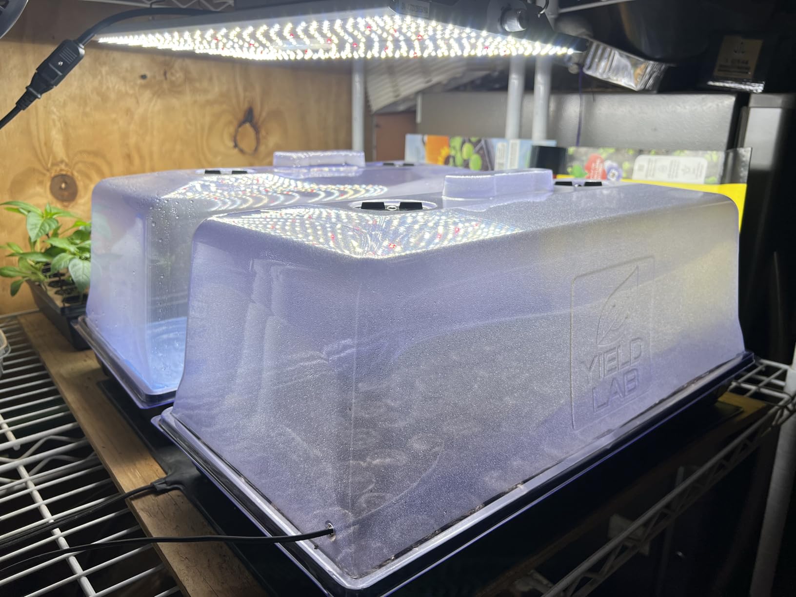 7 Inch Clone Dome - 5 Pack Humidity Vented Domes - Plant Growing customer photo 1