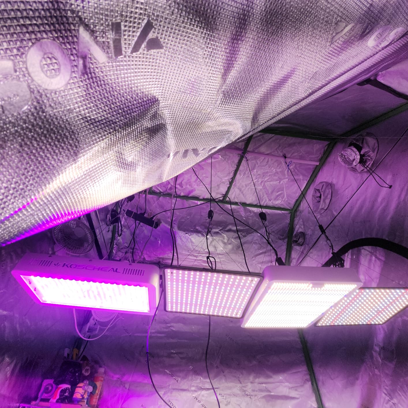 KingLED KING2000 Grow Light for Indoor Plants, Fits 3x3, 3x4 & 3x5 ft Tents customer photo 1