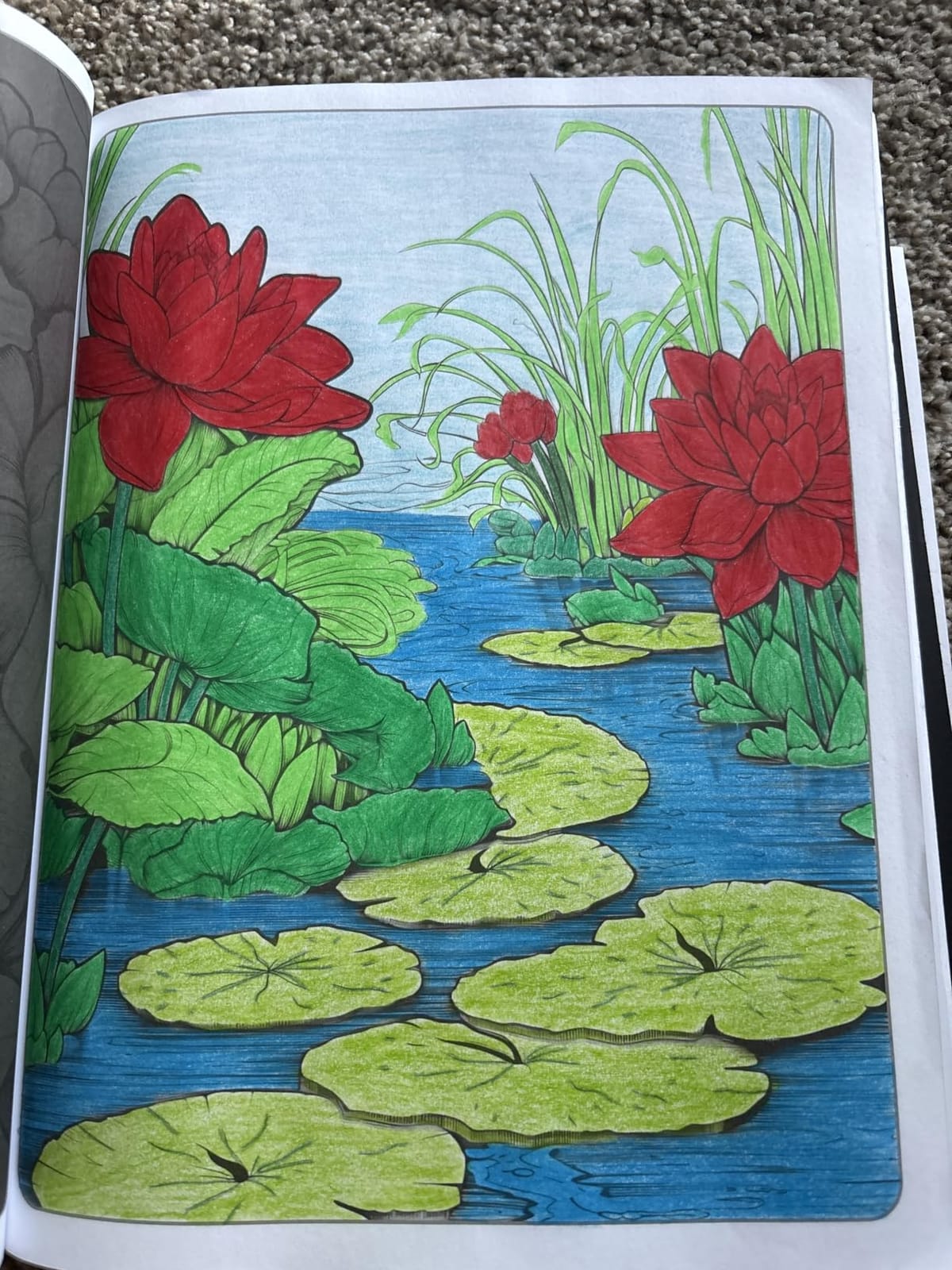 Soucolor 72 Colored Pencils for Adult Coloring Book,Back to School Supplies customer photo 2