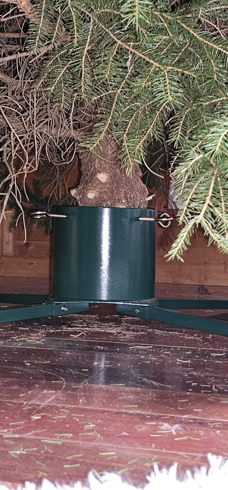 Goliath Welded Steel Christmas Tree Stand for Live Trees 5 to 12 Foot customer photo 1