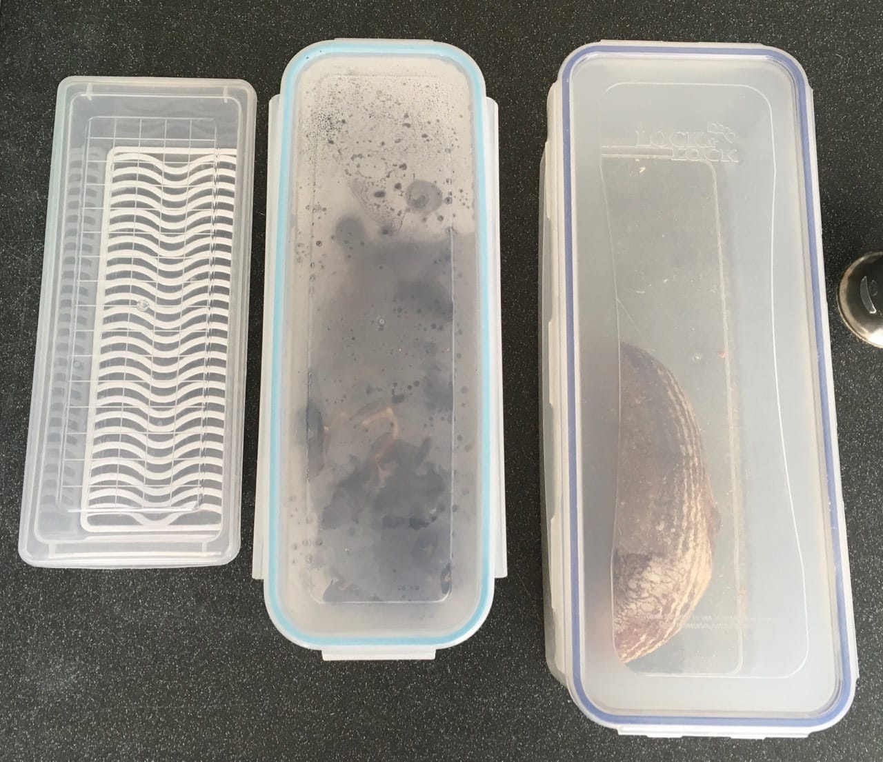 3 Pack 1.5L Fruit Storage Containers for Fridge with Removable Drain Tray customer photo 1