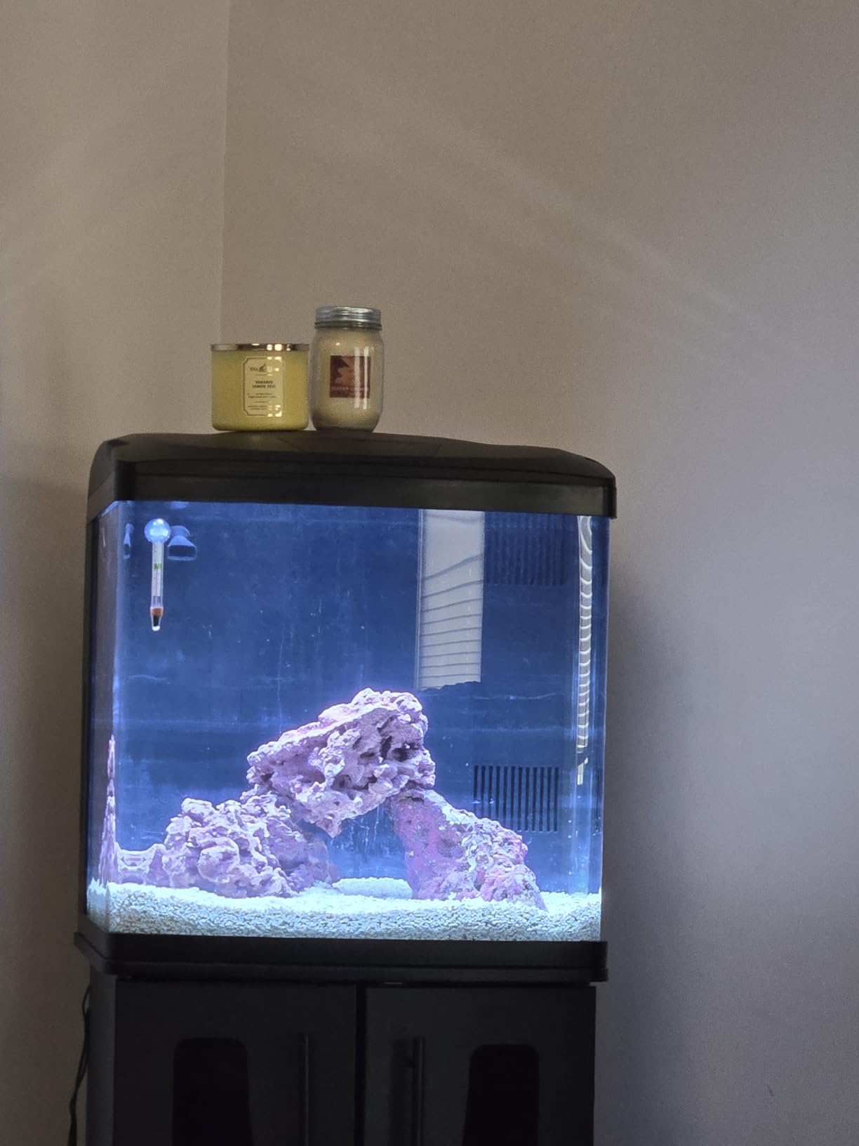 Coralife BioCube, Aquarium Kit, Integrated 24-hour Timer, Customizable LED Lighting, for Saltwater and Freshwater Environments, 32 Gallon customer photo 1