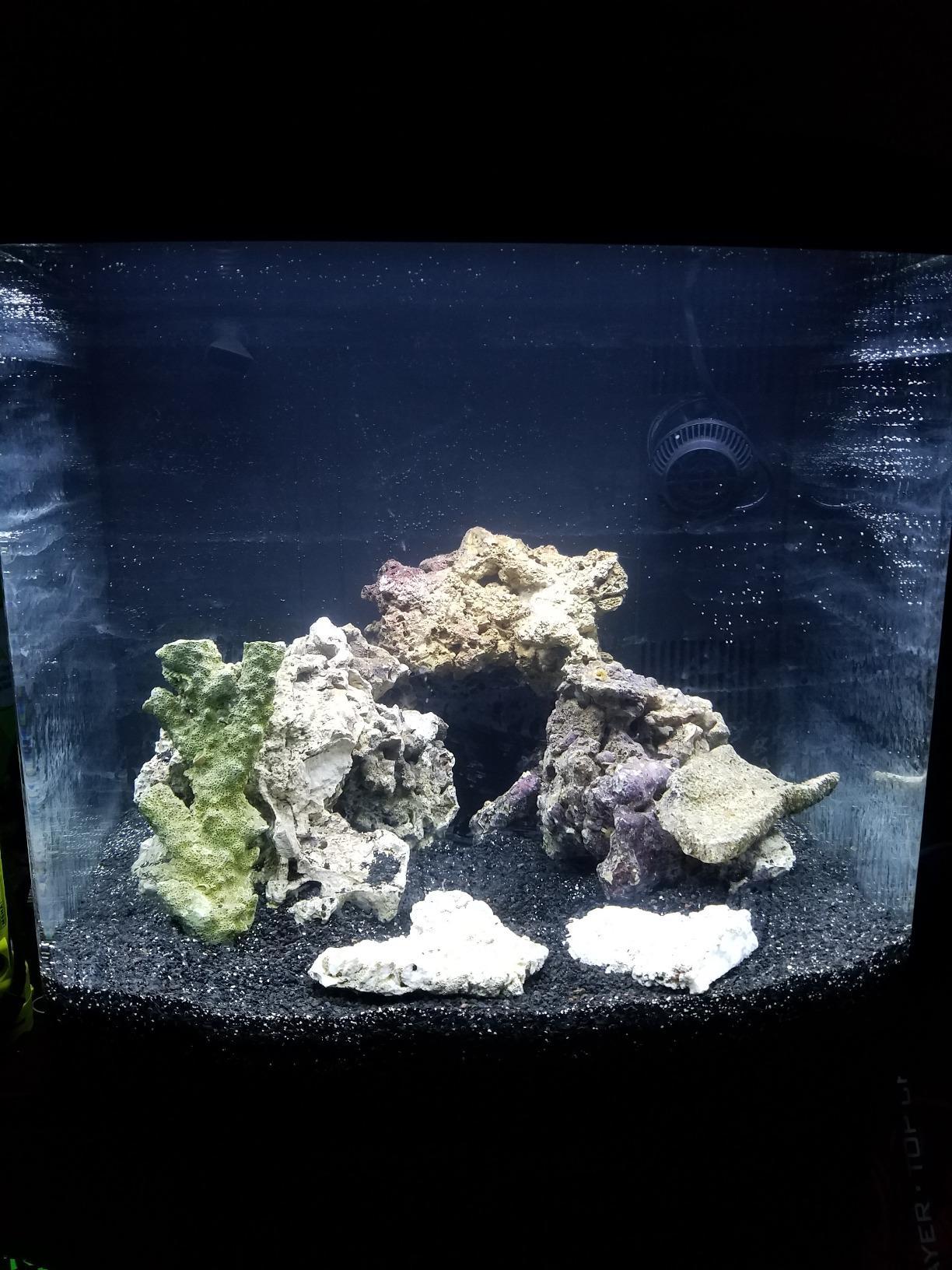 Coralife BioCube, Aquarium Kit, Integrated 24-hour Timer, Customizable LED Lighting, for Saltwater and Freshwater Environments, 32 Gallon customer photo 2