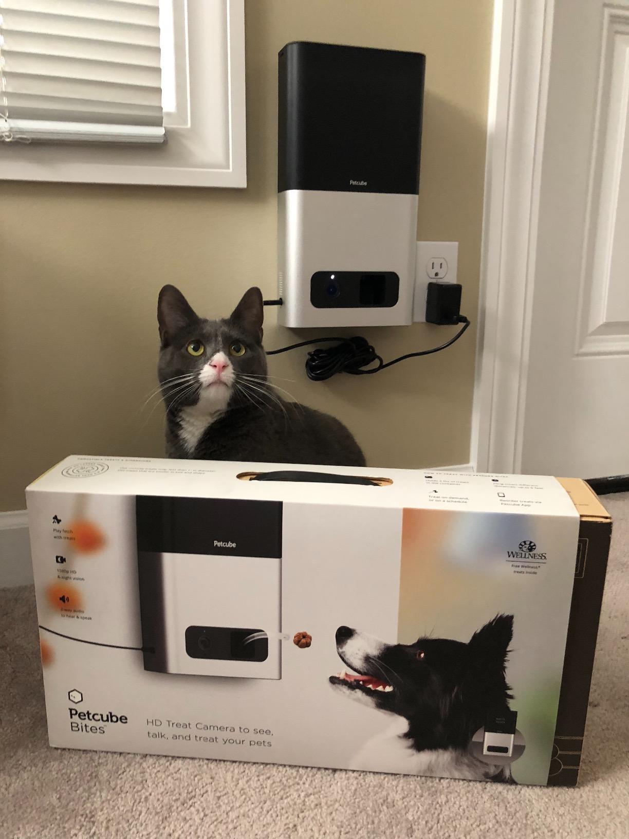 [2017 Item ] Petcube Bites Pet Camera with Treat Dispenser: HD 1080p Video Monitor, 2-Way Audio, Night Vision, Sound and Motion Alerts. For Dogs and Cats, Matte Silver (PB913NVTD) customer photo 1