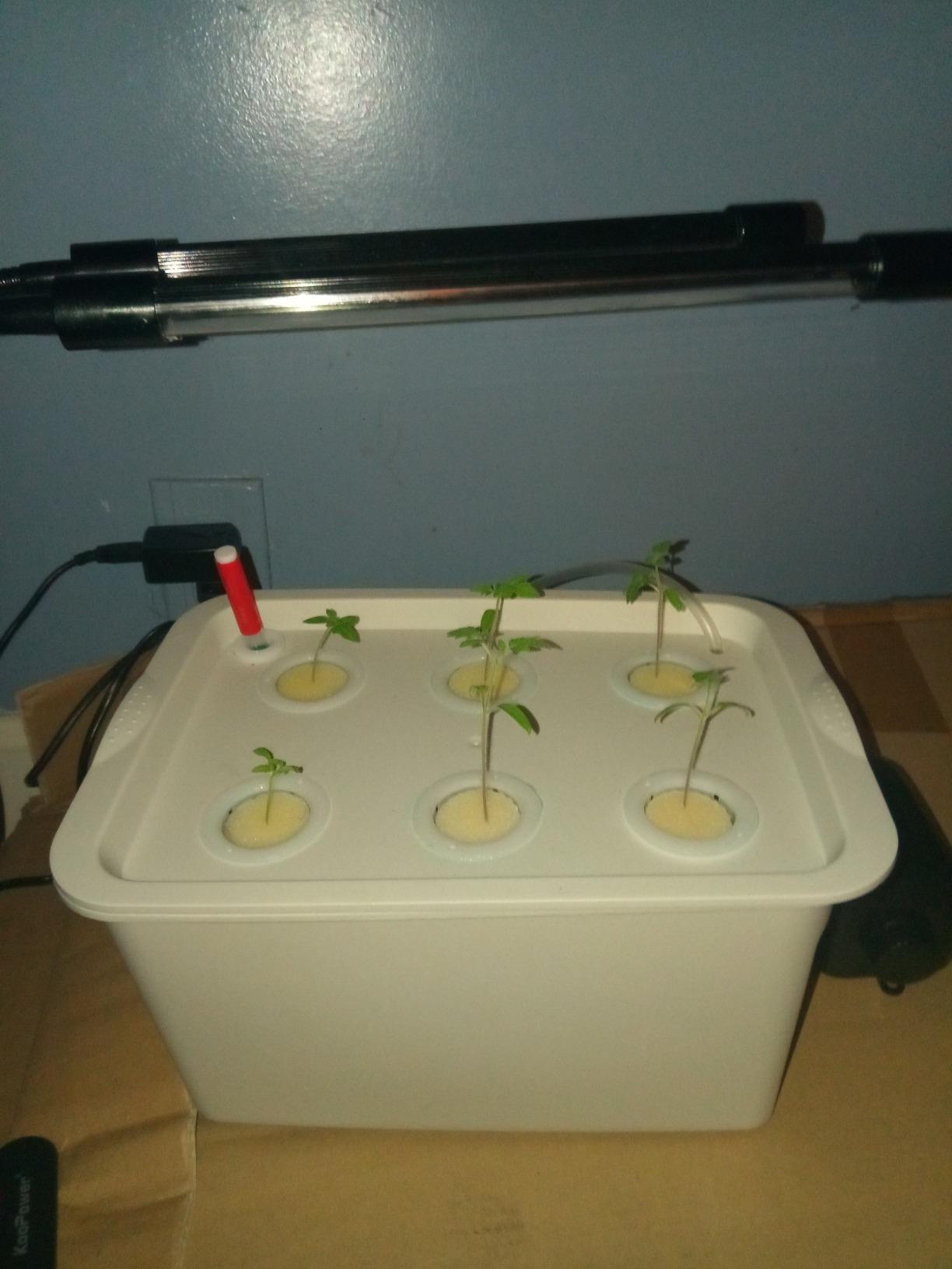 Hydroponics Grower Kit DIY Self Watering Indoor Hydroponics Tools Hydroponic System Planting Container Include Aquarium Air Pump Buoy Planting Box customer photo 2