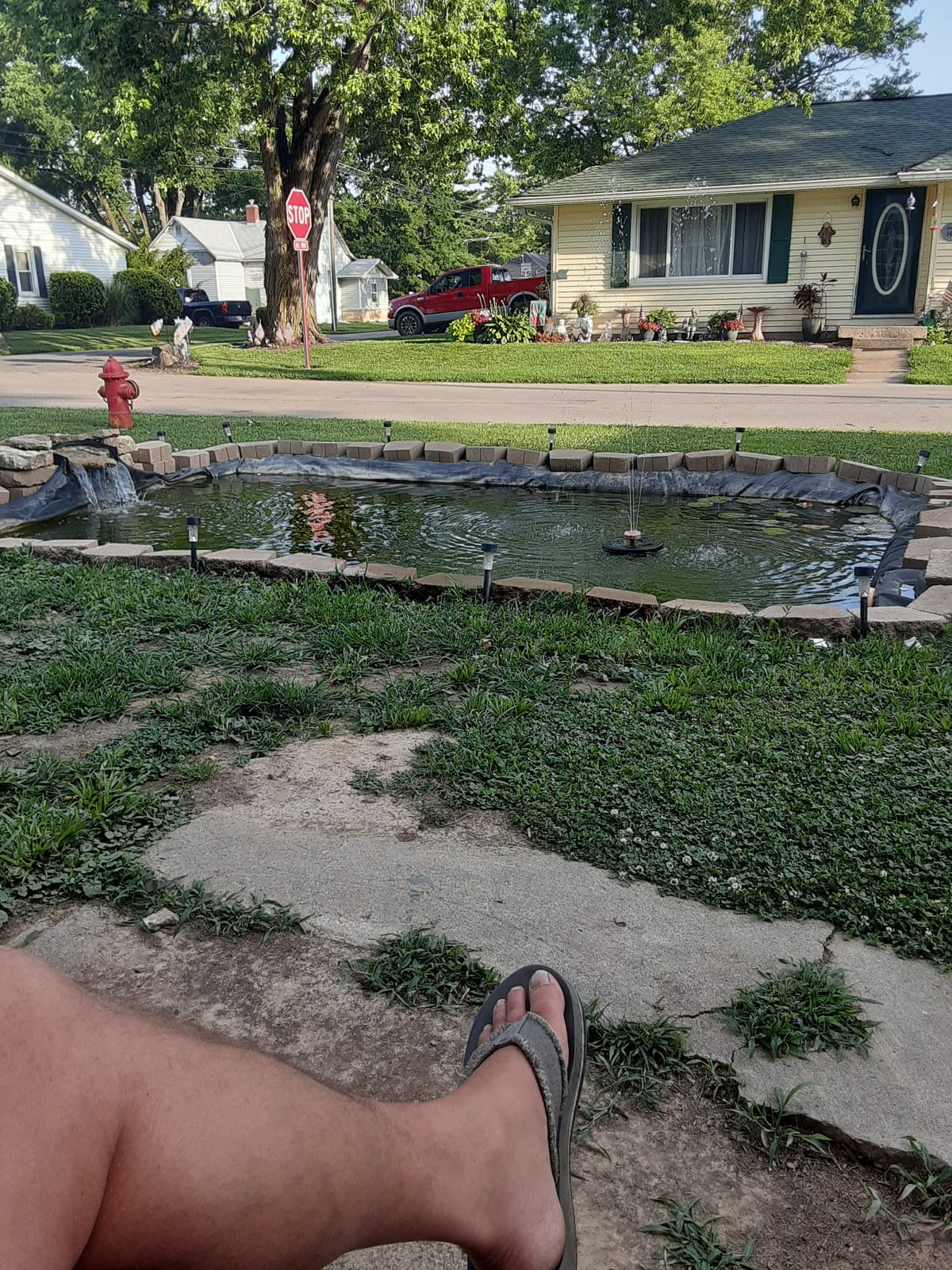 HALF OFF PONDS 15x25 Savio Select 3000 GPH EPDM Liner Water Garden Pond Kit customer photo 1