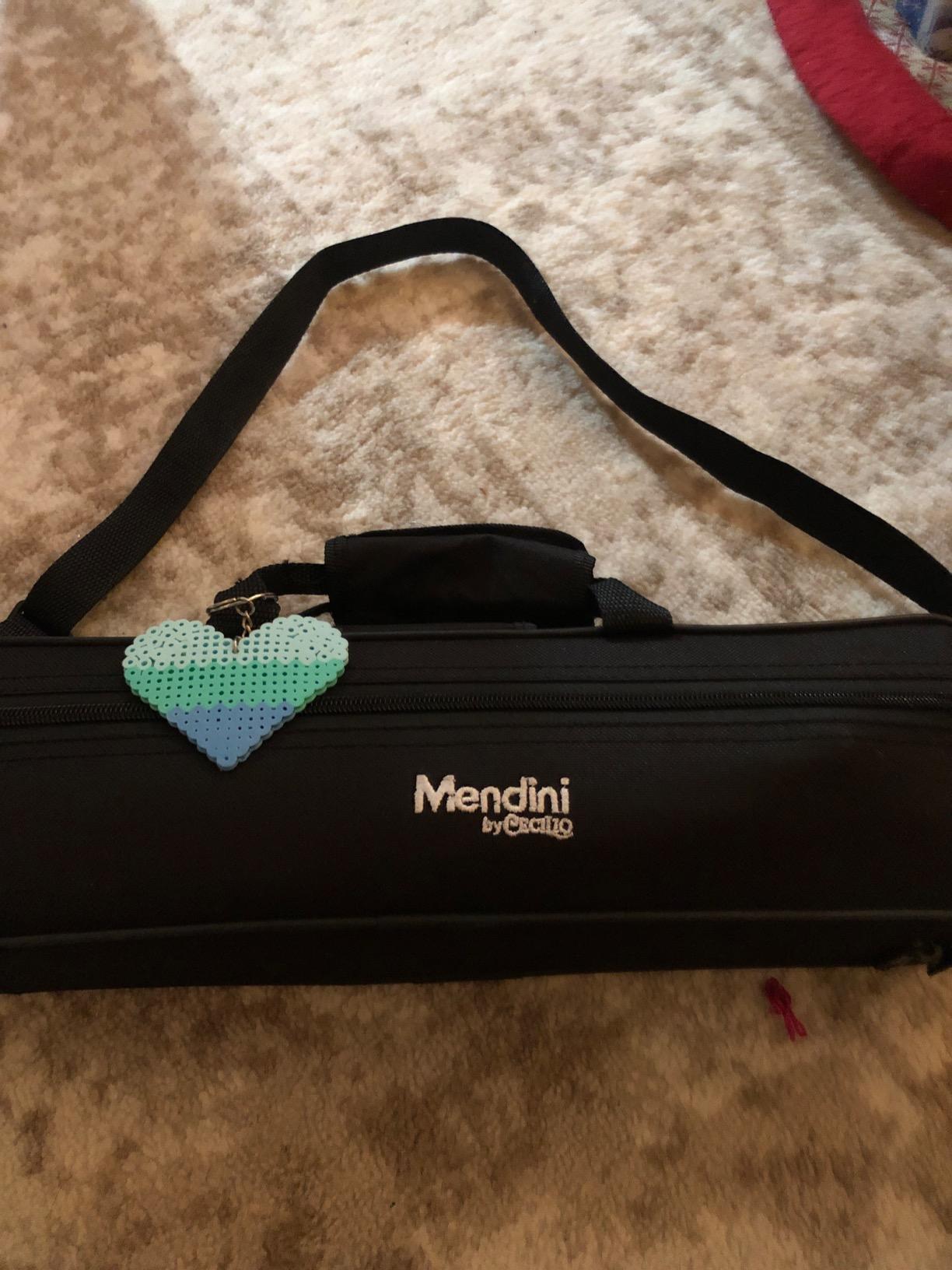 Mendini by Cecilio 16 Keys Closed Hole C Flute Kit for Beginners - Nickel customer photo 1