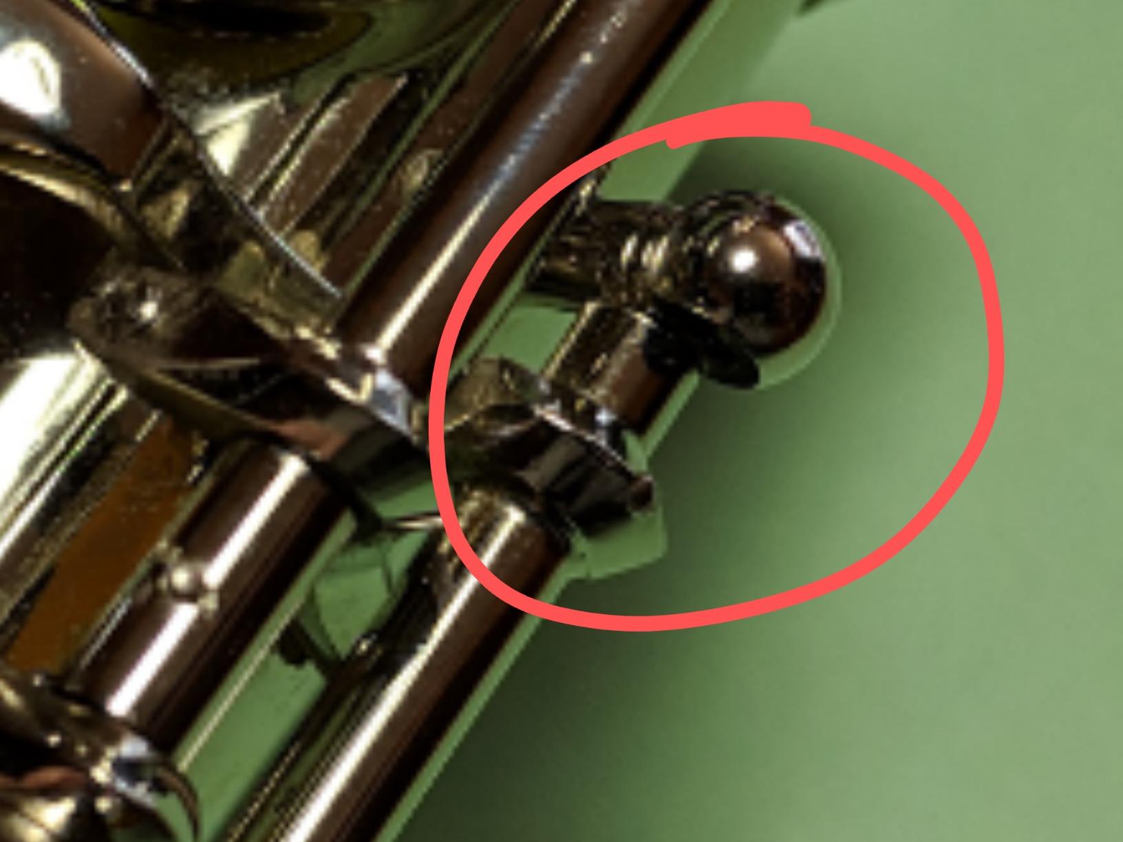 Mendini by Cecilio 16 Keys Closed Hole C Flute Kit for Beginners - Nickel customer photo 2