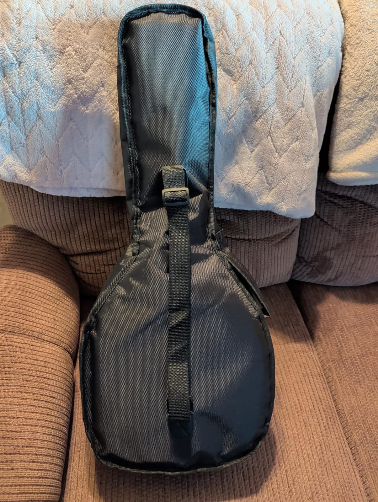 Tosnail Soft A & F Style Mandolin Gig Bag with 15mm Padding - Carry Handle & Shoulder Strap customer photo 1