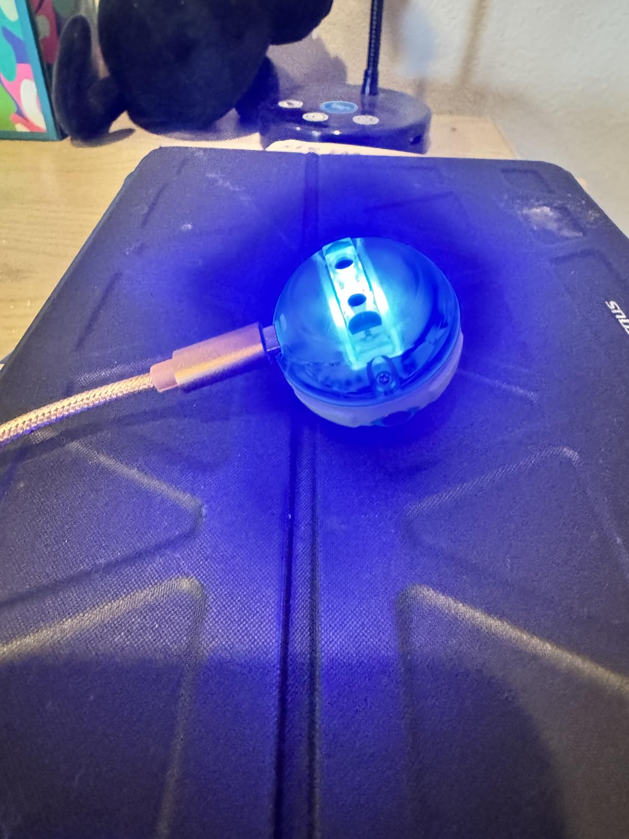 Sphero Mini Green Coding Robot Ball customer photo 1