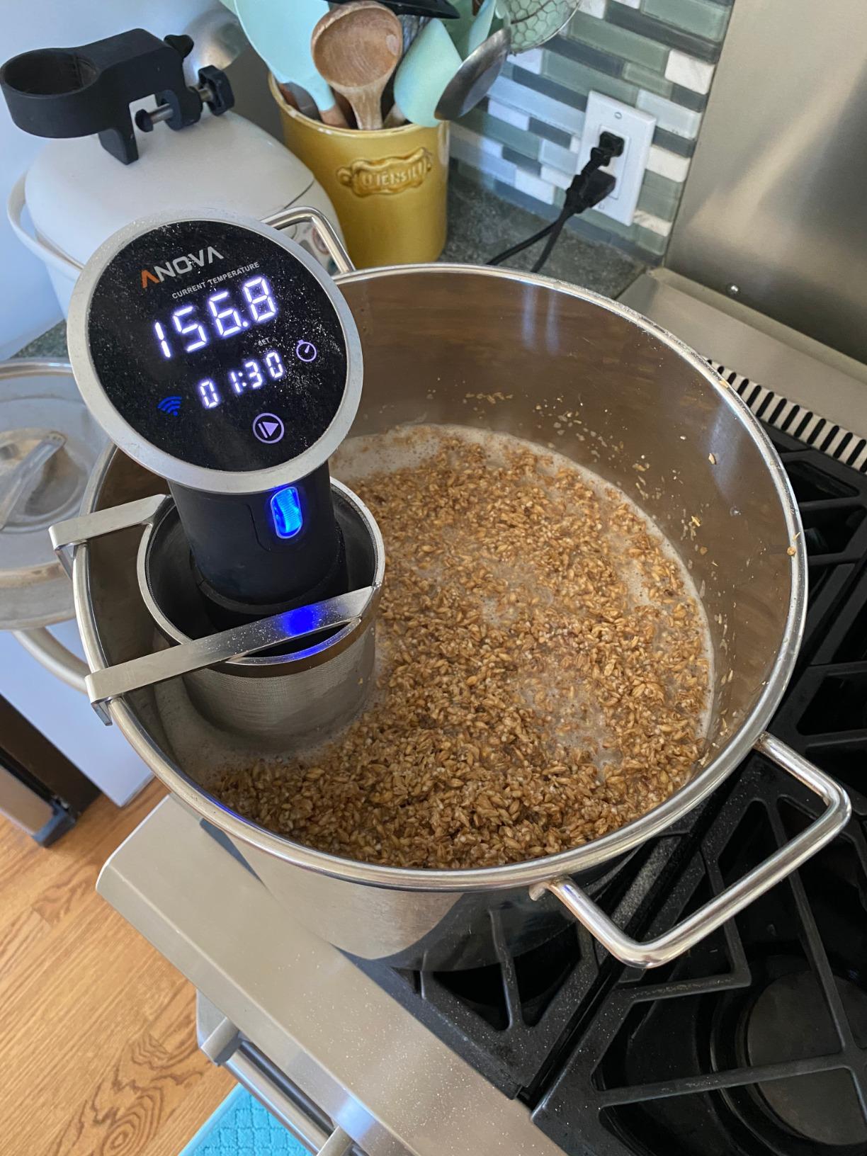 Hop Spider 300 Micron Mesh Stainless Steel Hop Filter Strainer for Home Beer Brewing Kettle customer photo 2