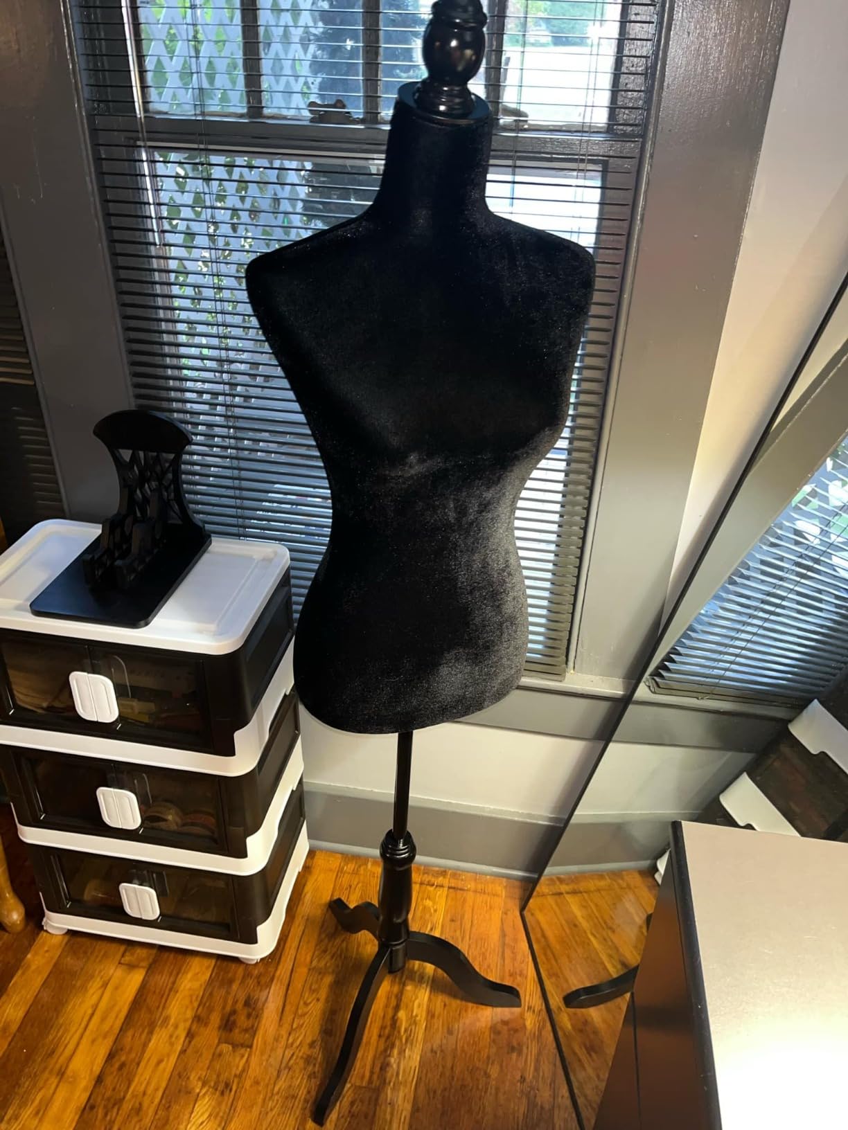 Bonnlo Female Dress Form Pinnable Mannequin Body Torso with Wooden Tripod Base Stand (White, 2-4) customer photo 1
