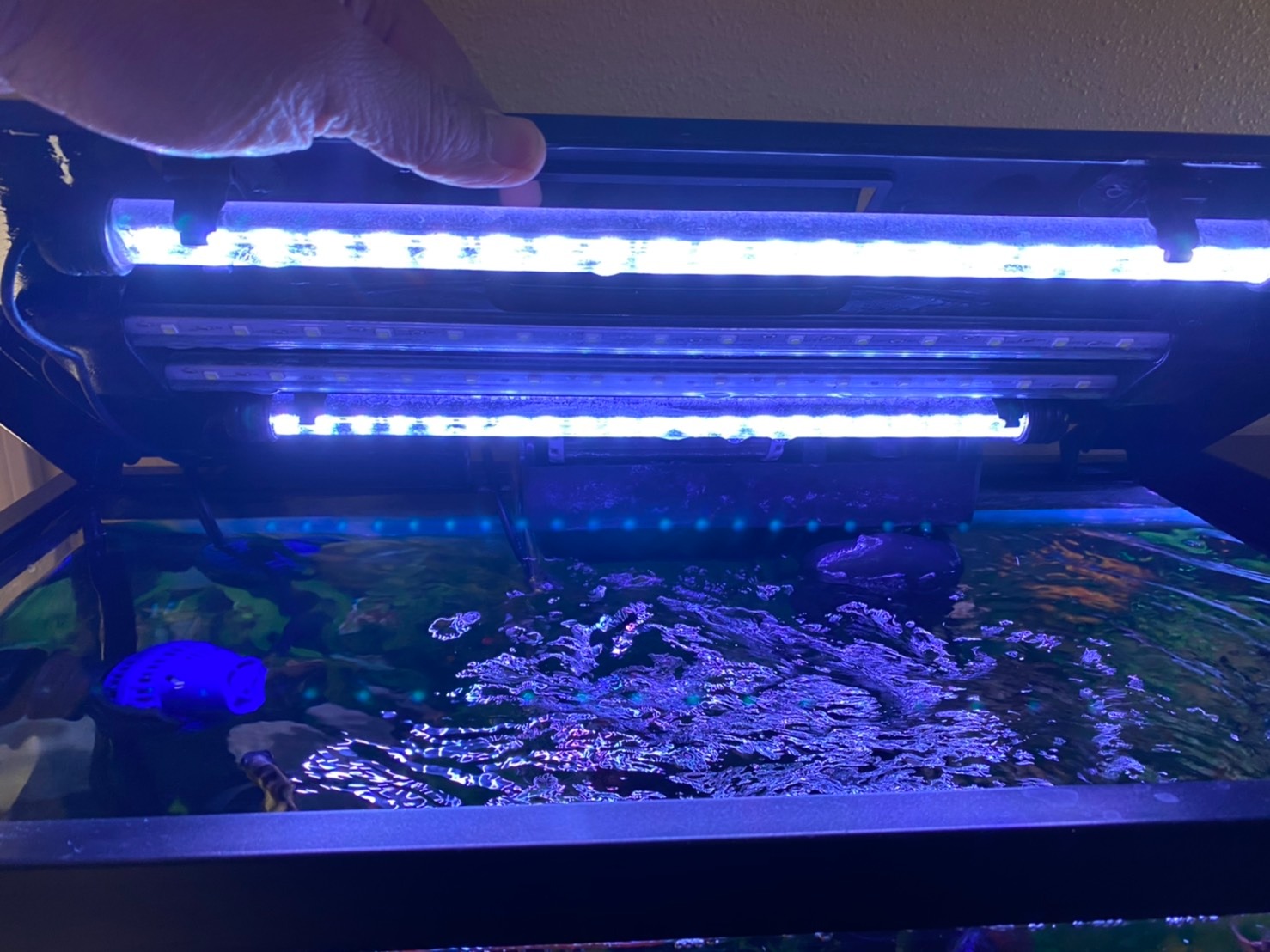 15 inches LED Aquarium Light, 2.5W Fish Tank Light Underwater Light Submersible Crystal Glass Lights, 21 LED Beads 12 Colors 19 Modes Brightness Adjustable Memory Function IP68 Waterproof customer photo 2