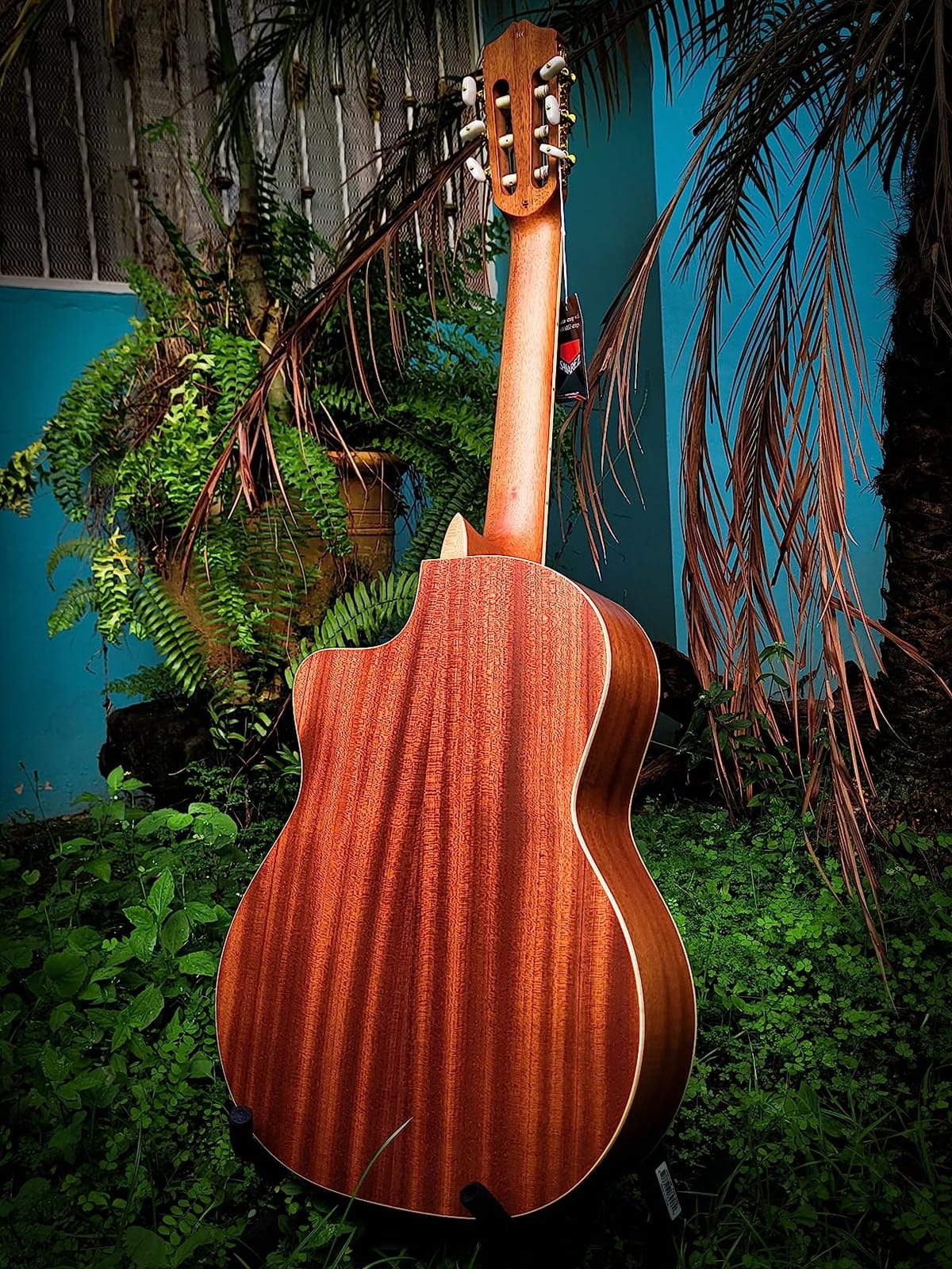 Cordoba C4-CE Edge Burst Cutaway Classical Acoustic-Electric Nylon String Guitar, Iberia Series customer photo 1