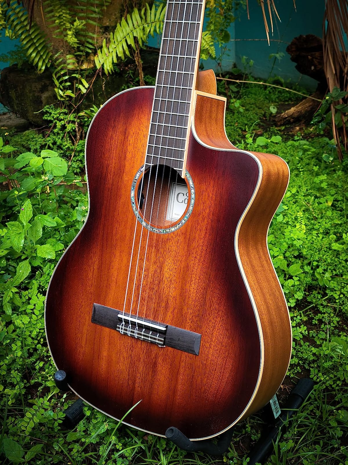 Cordoba C4-CE Edge Burst Cutaway Classical Acoustic-Electric Nylon String Guitar, Iberia Series customer photo 2