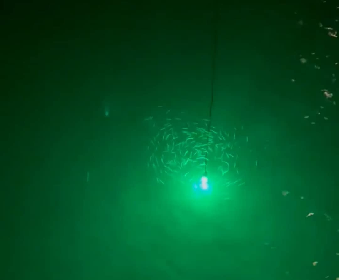 Linkstyle 126 LED Underwater Fishing Light, 13W 12V Green Submersible Light customer photo 2