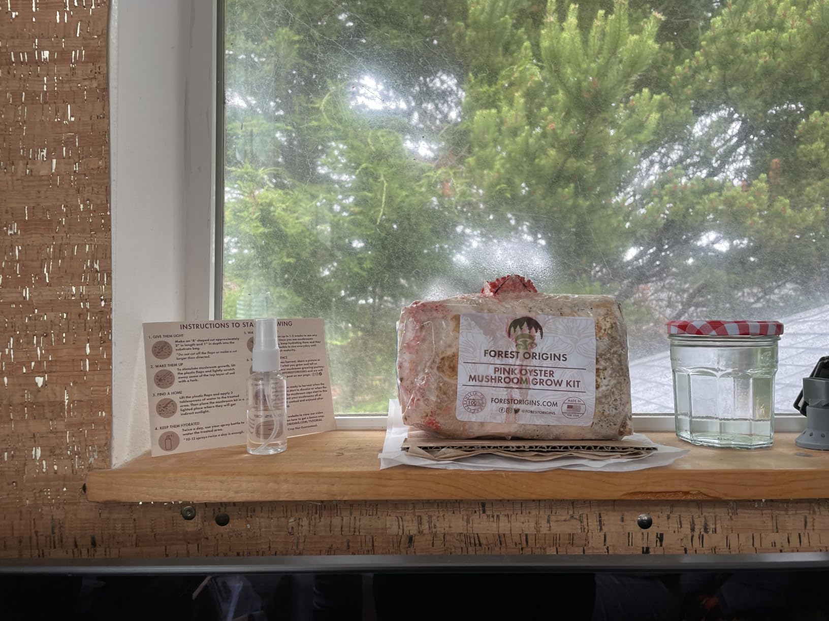 Forest Origins Pink Oyster Mushroom Grow Kit, Ready to Grow Indoors customer photo 2