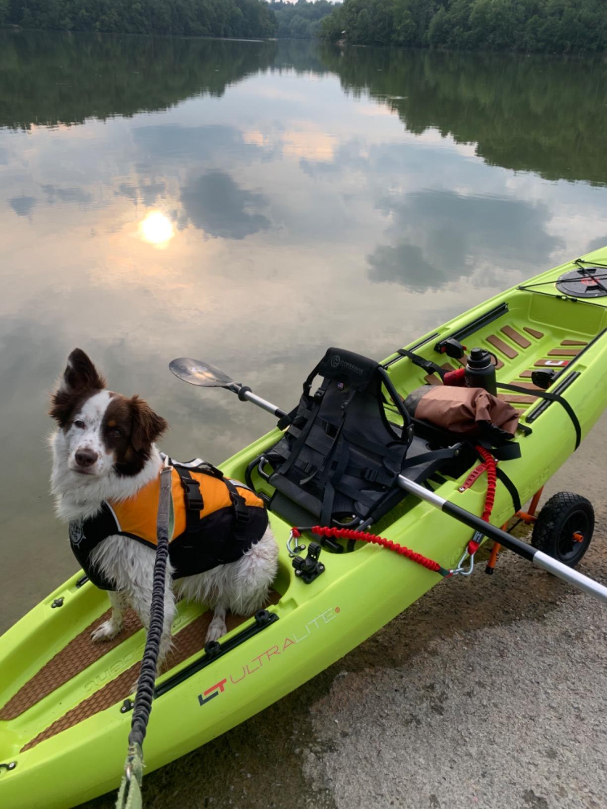 Kayak Cart - 150 Lbs Capacity Canoe Dolly with Airless Tires, Foldable Aluminum Frame, and Carrying Bag for Personal Watercraft by Rad Sportz (Orange) customer photo 2