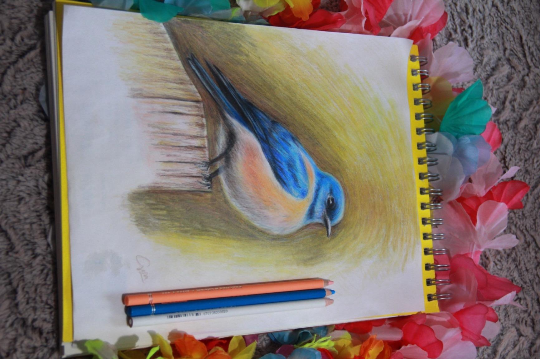 ARTEZA Colored Pencils, 72 Colors, Soft Wax Cores for Coloring and Drawing customer photo 1